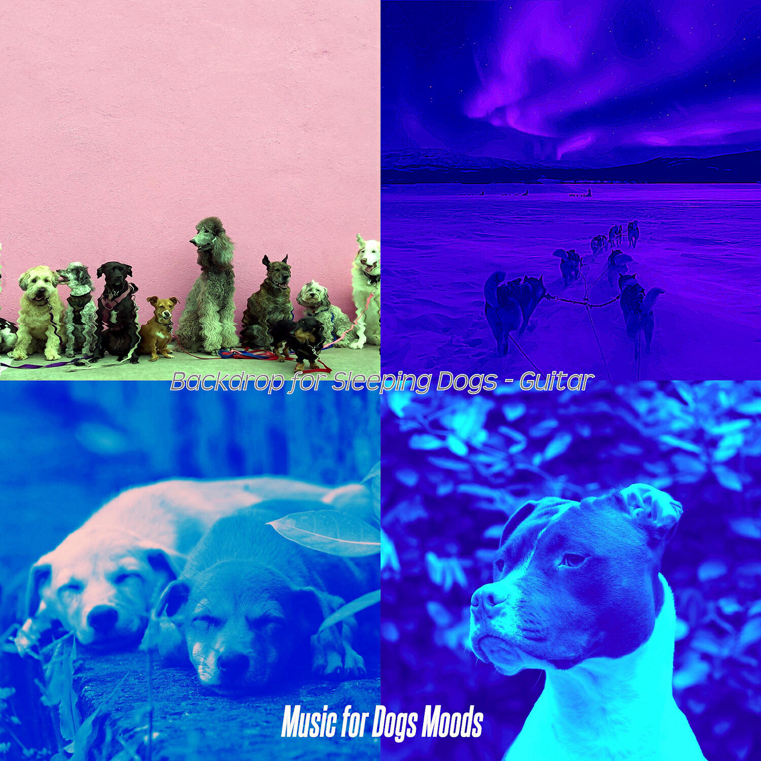 Релиз Backdrop for Sleeping Dogs - Guitar