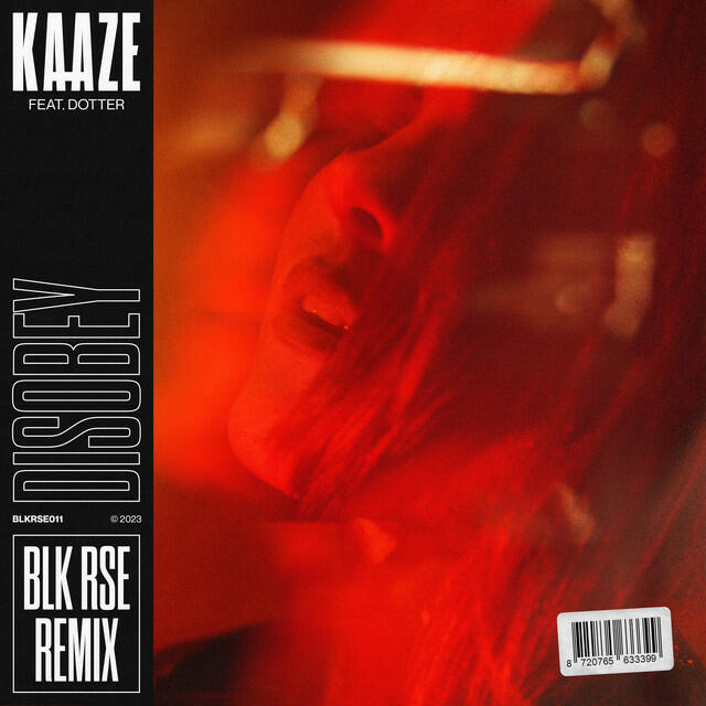 Релиз Disobey (BLK RSE Remix)