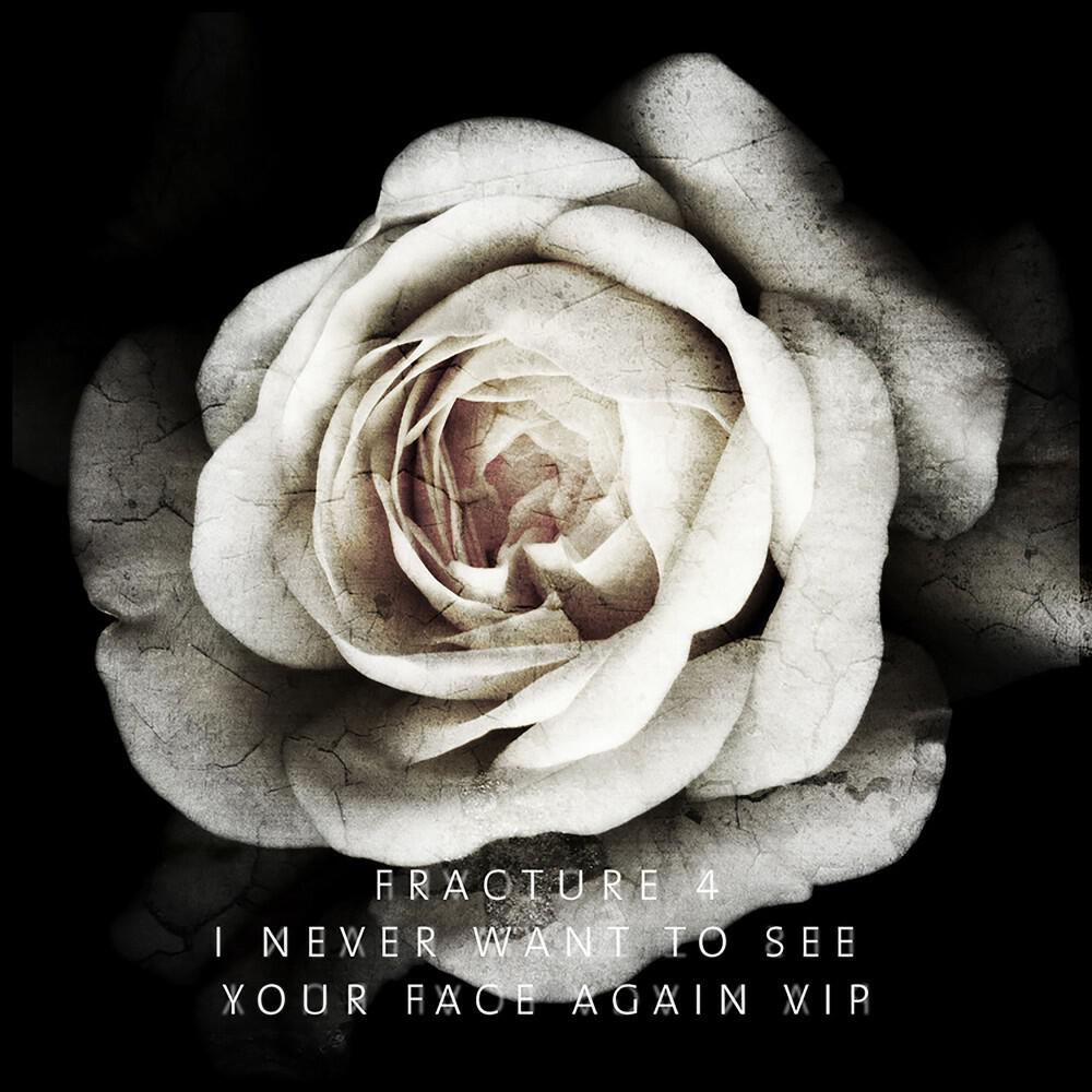 Релиз I Never Want to See Your Face Again VIP