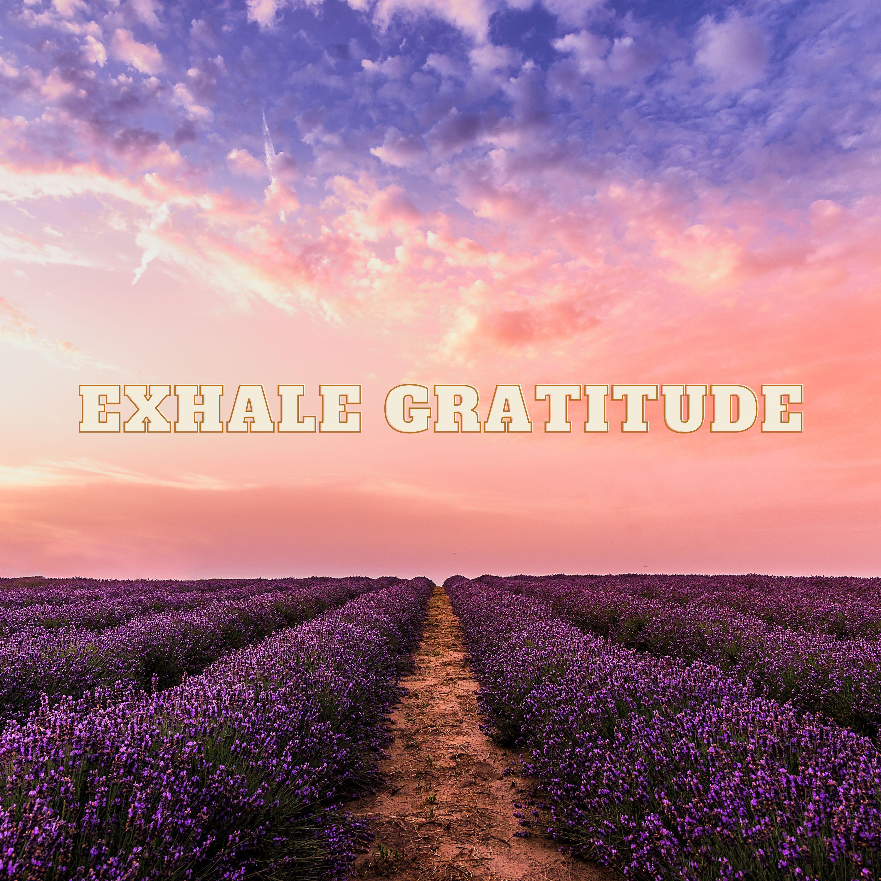 Релиз Exhale gratitude