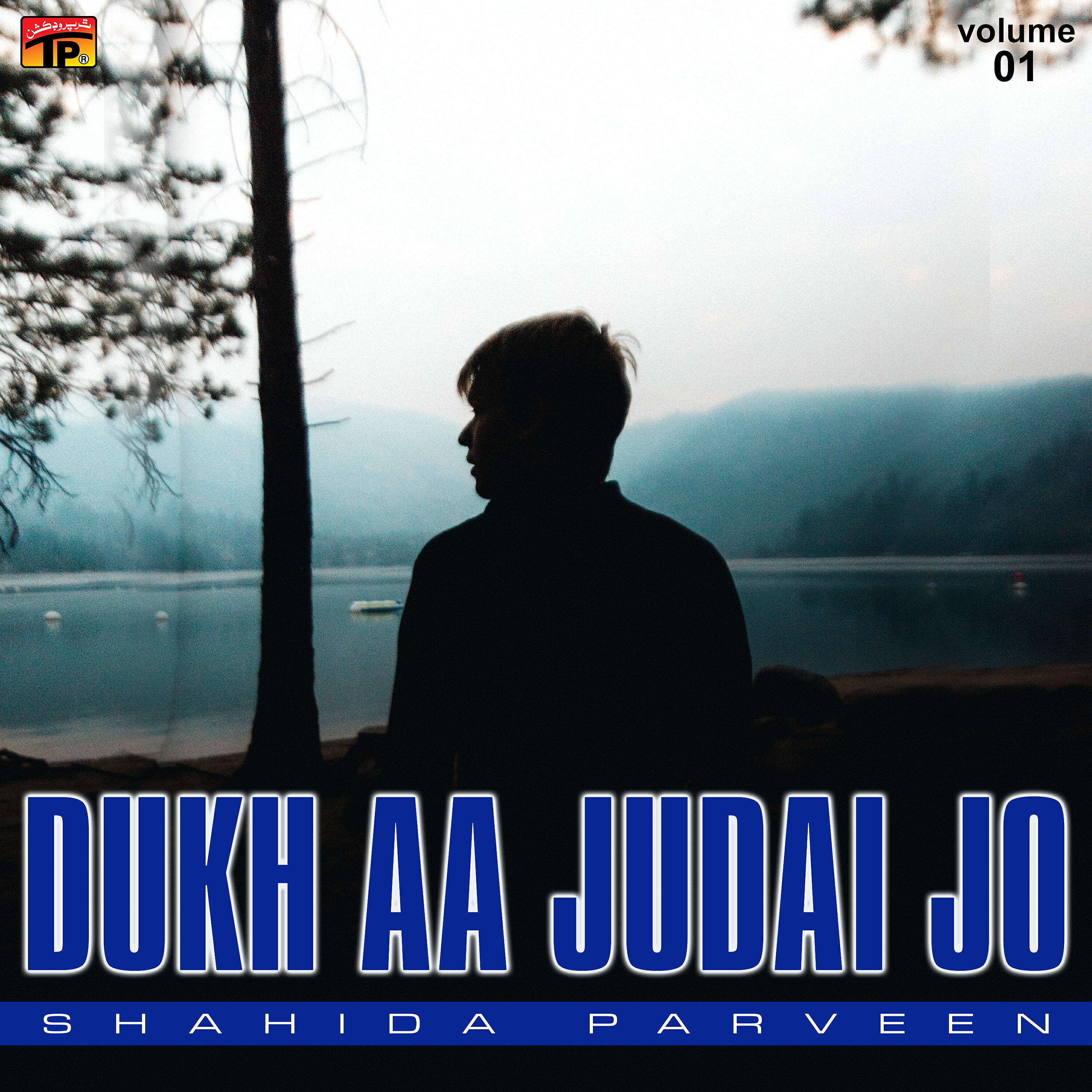 Релиз Dukh Aa Judai Jo, Vol. 1