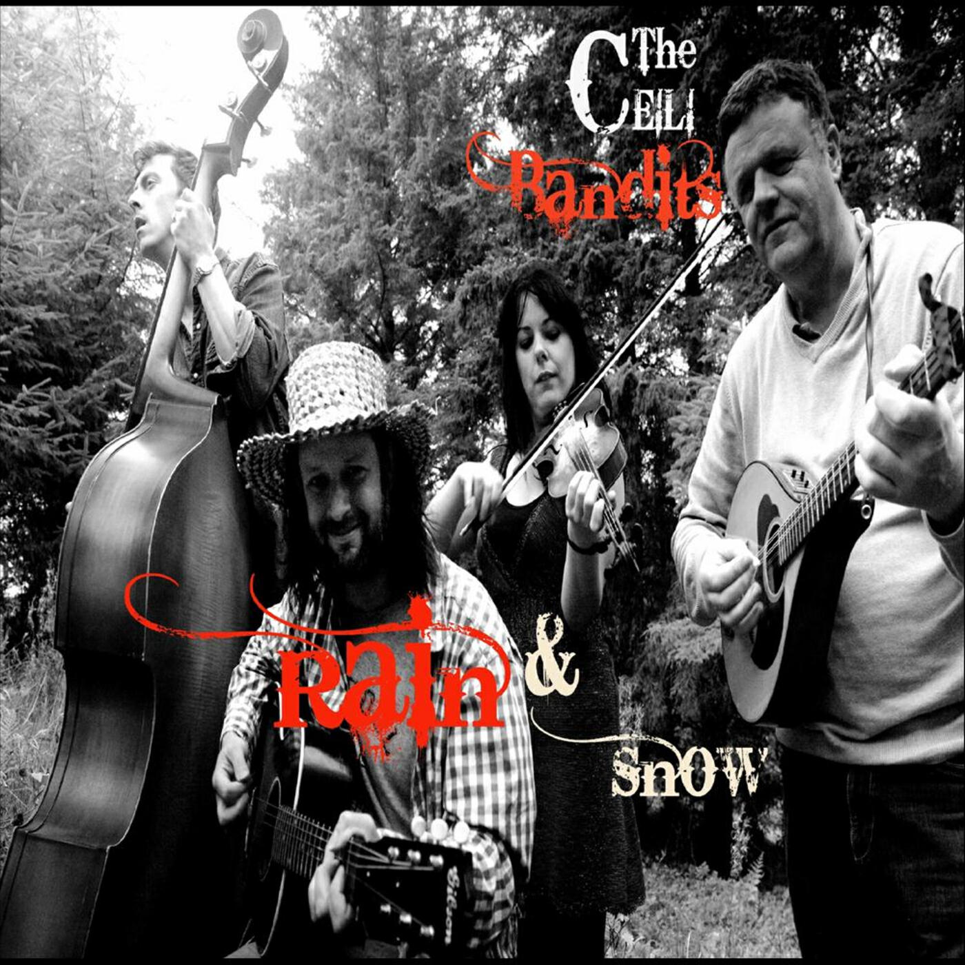 The Céilí Bandits