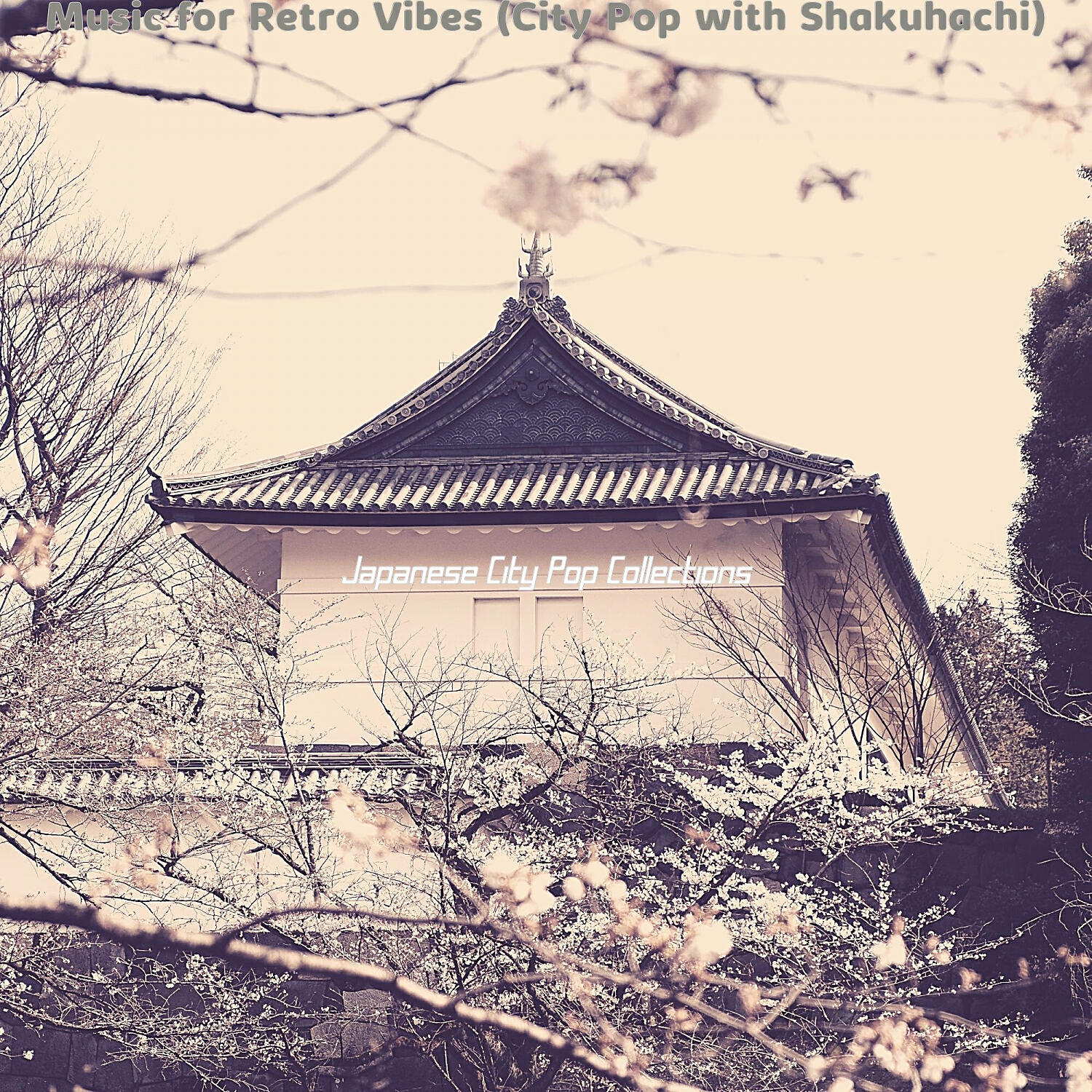 Релиз Music for Retro Vibes (City Pop with Shakuhachi)