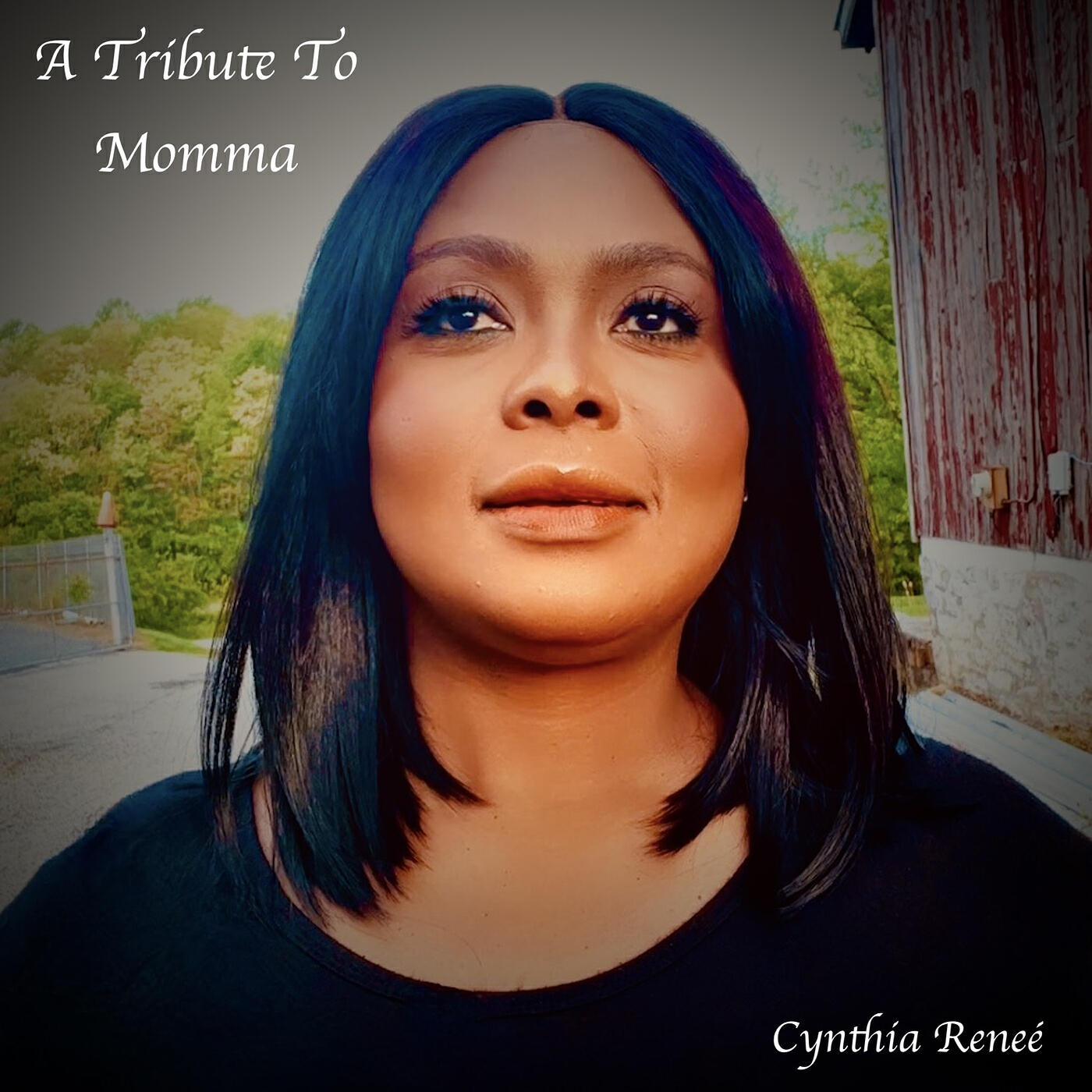Релиз A Tribute to Momma