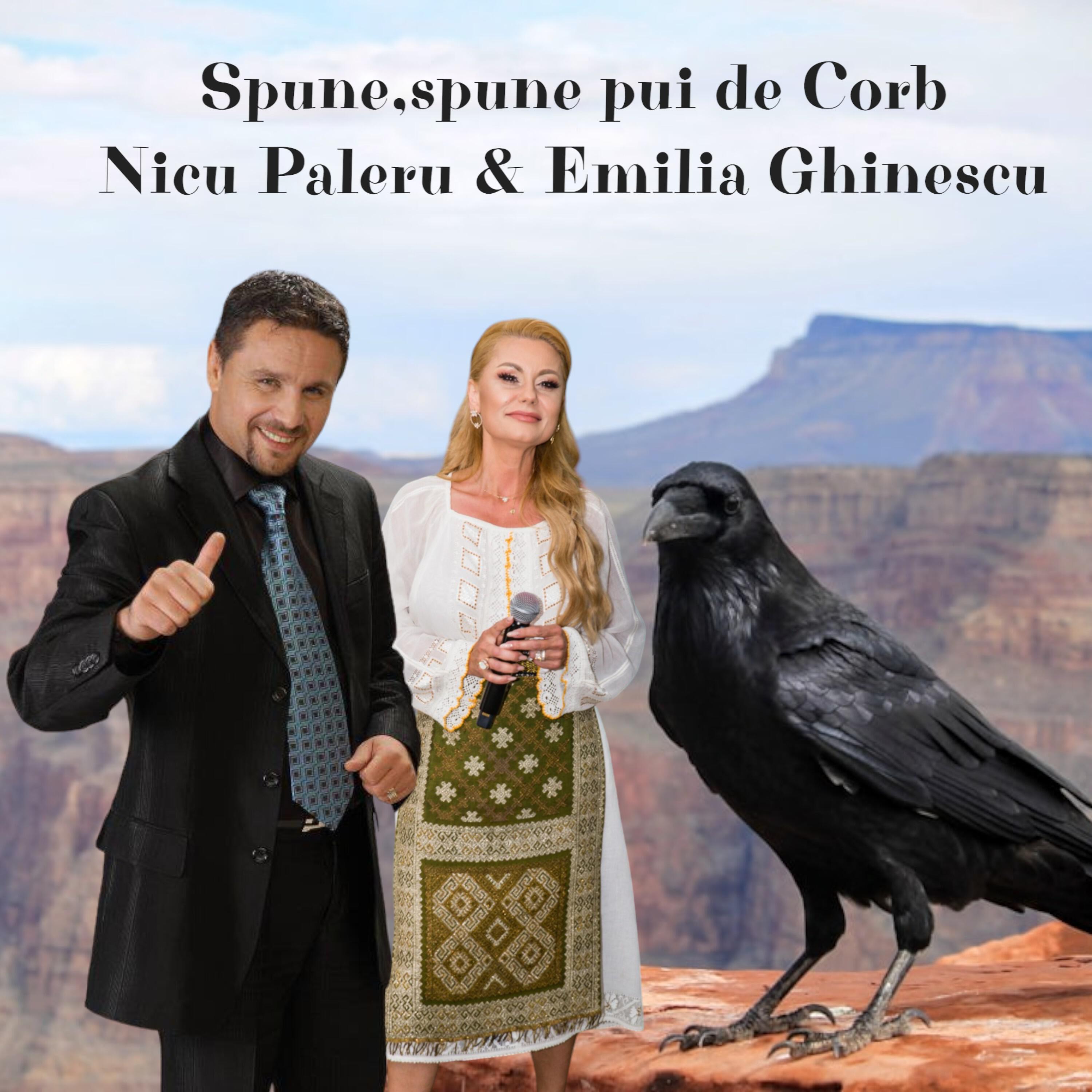 Релиз Spune,spune pui de Corb