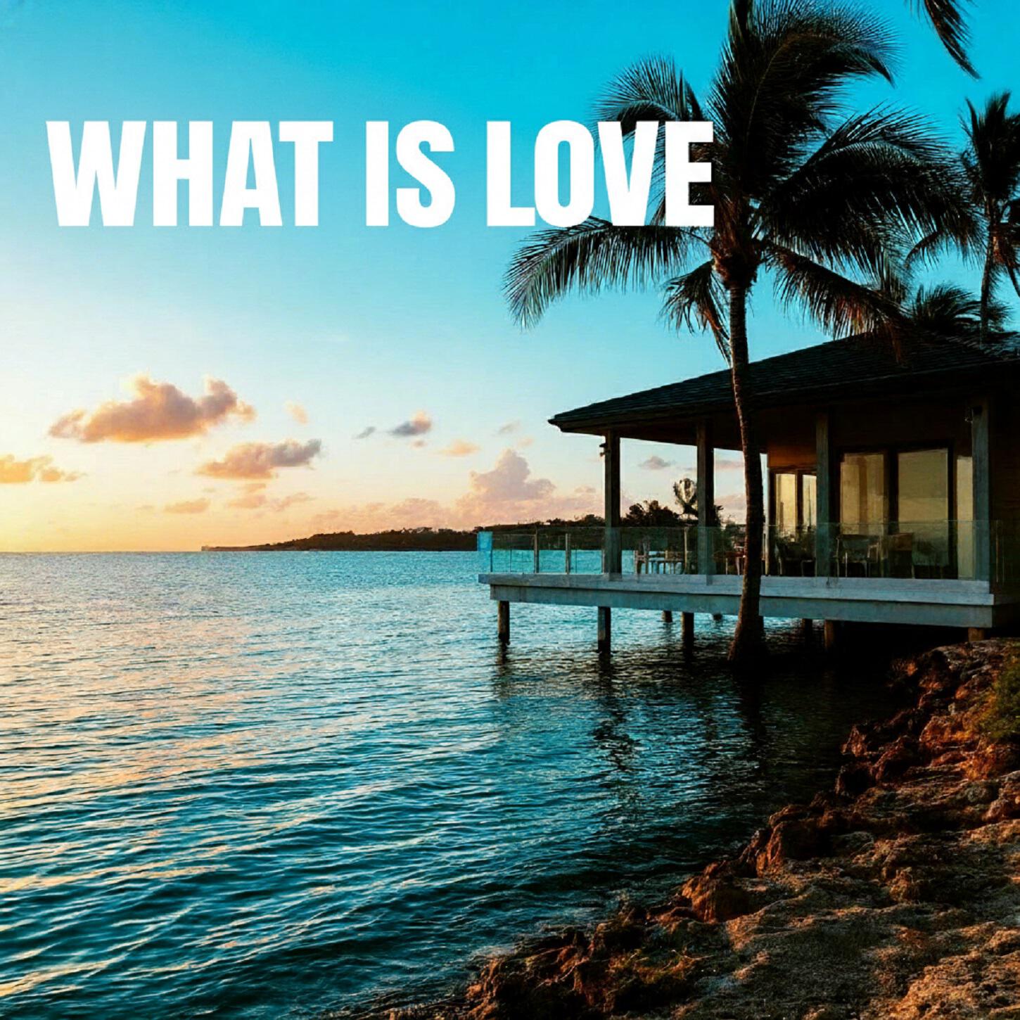 Релиз What Is Love
