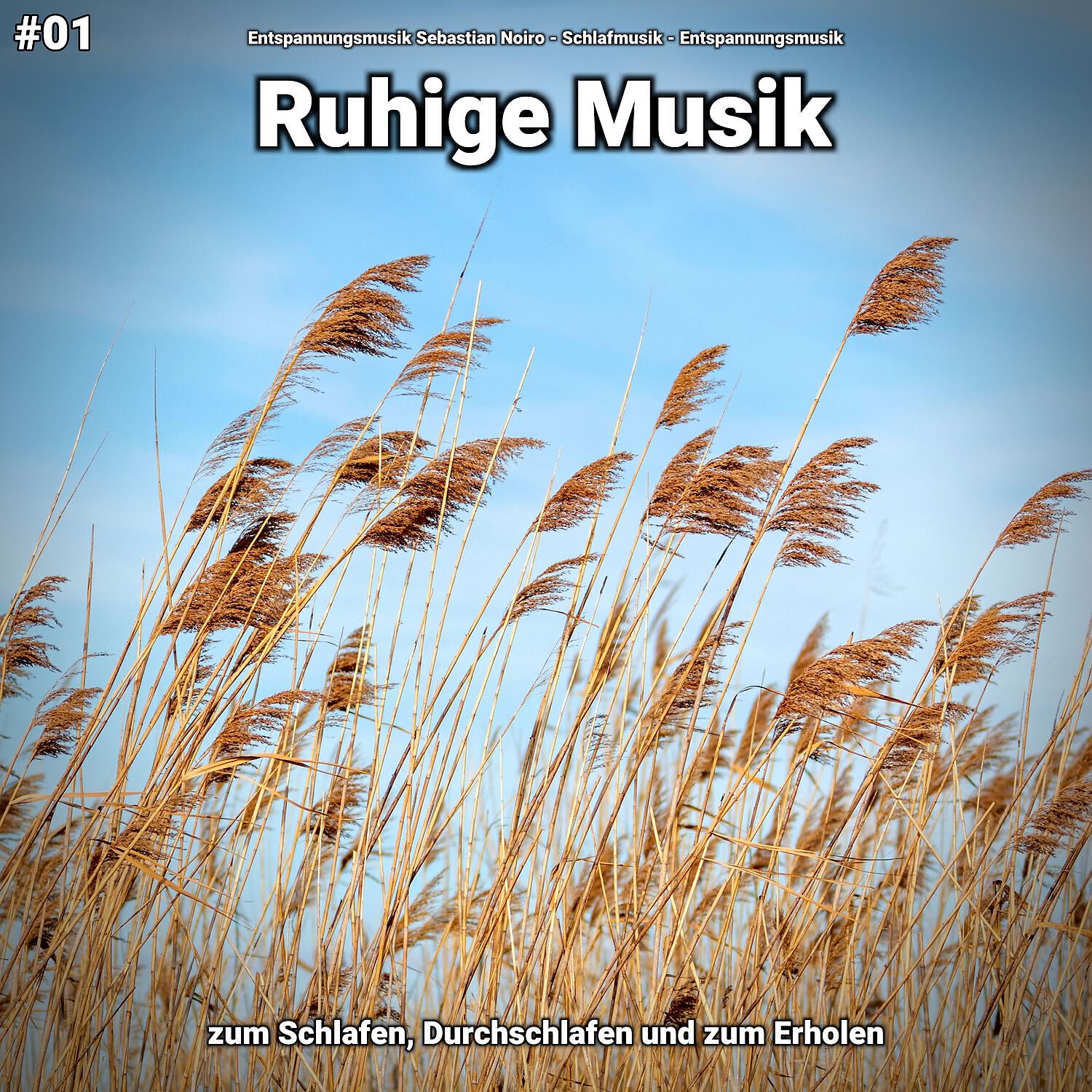 Релиз #01 Ruhige Musik zum Schlafen, Durchschlafen und zum Erholen