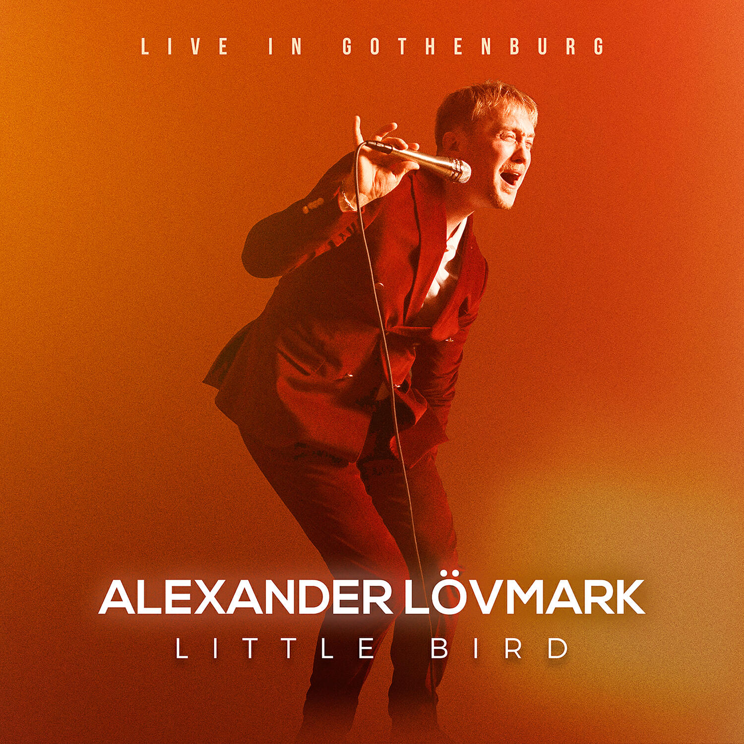 Релиз Little Bird – Live in Gothenburg