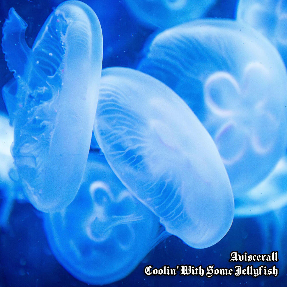 Релиз Coolin' With Some Jellyfish