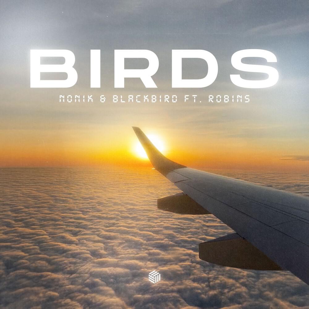 Релиз Birds