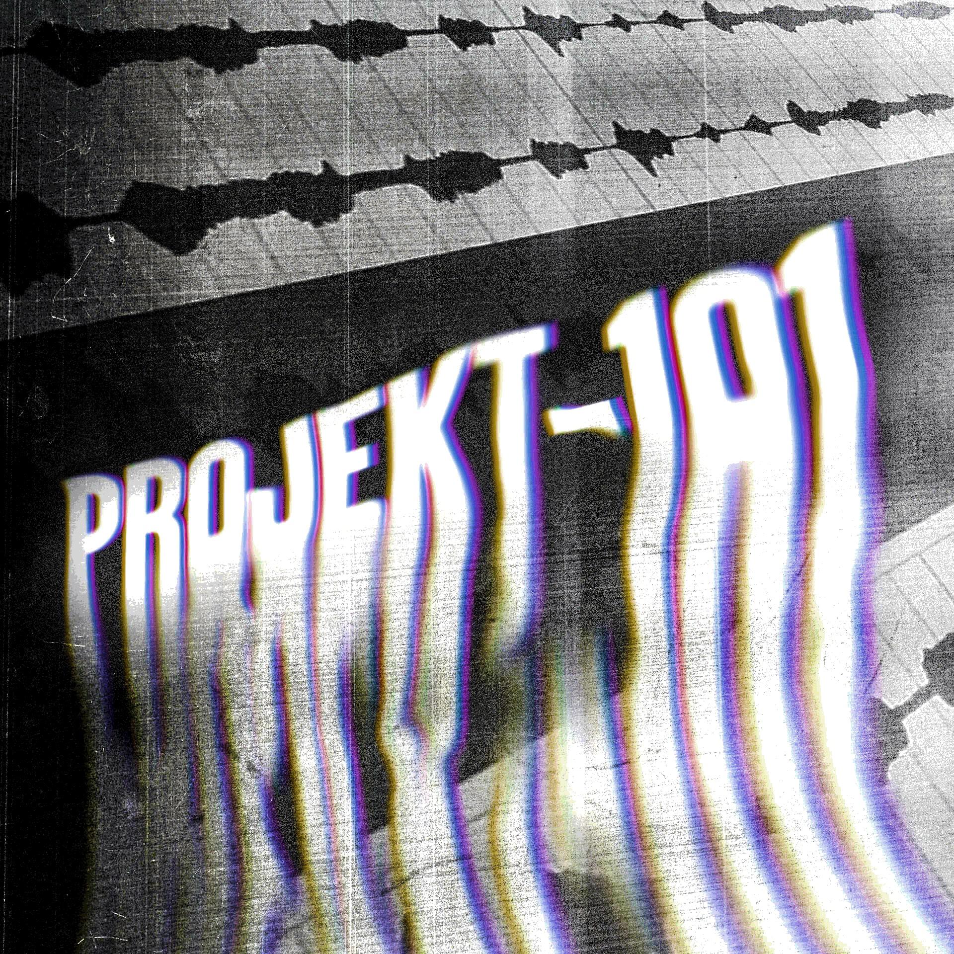 Релиз Projekt-101