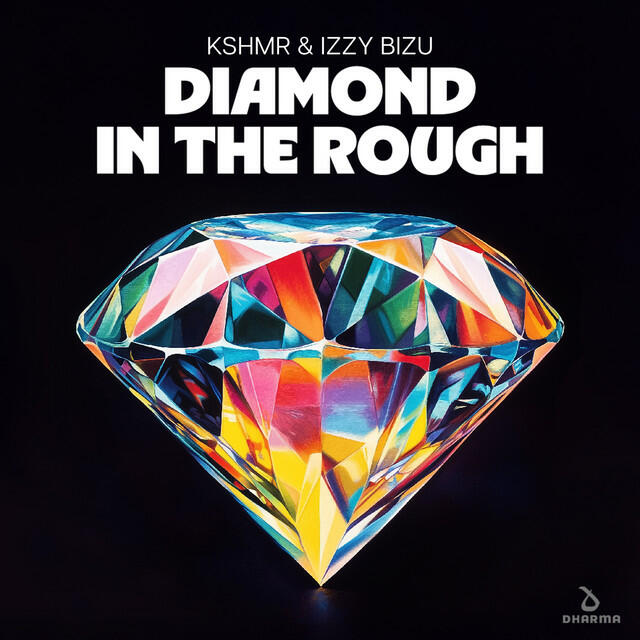 Релиз Diamond In The Rough (Extended Mix)