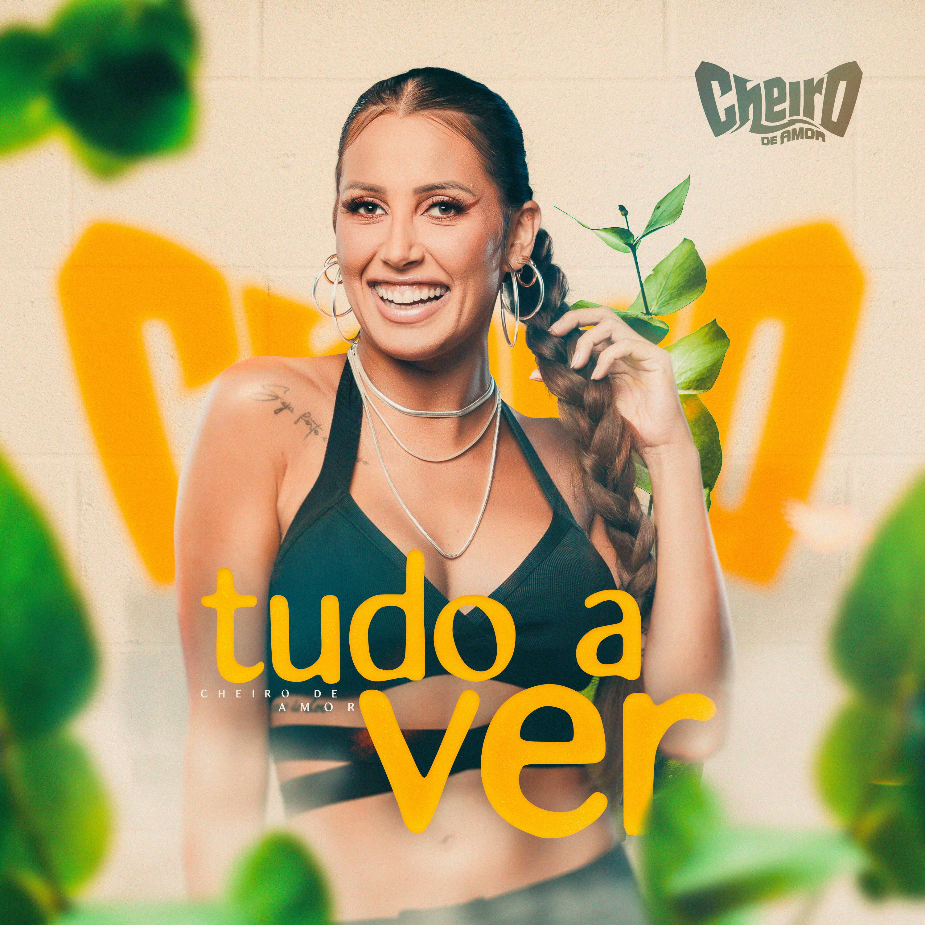 Релиз Tudo a Ver