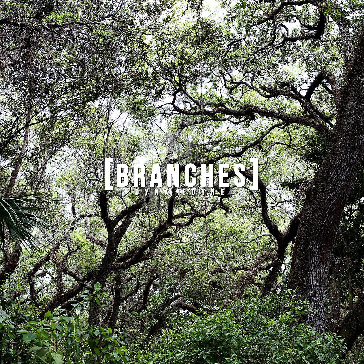 Релиз Branches
