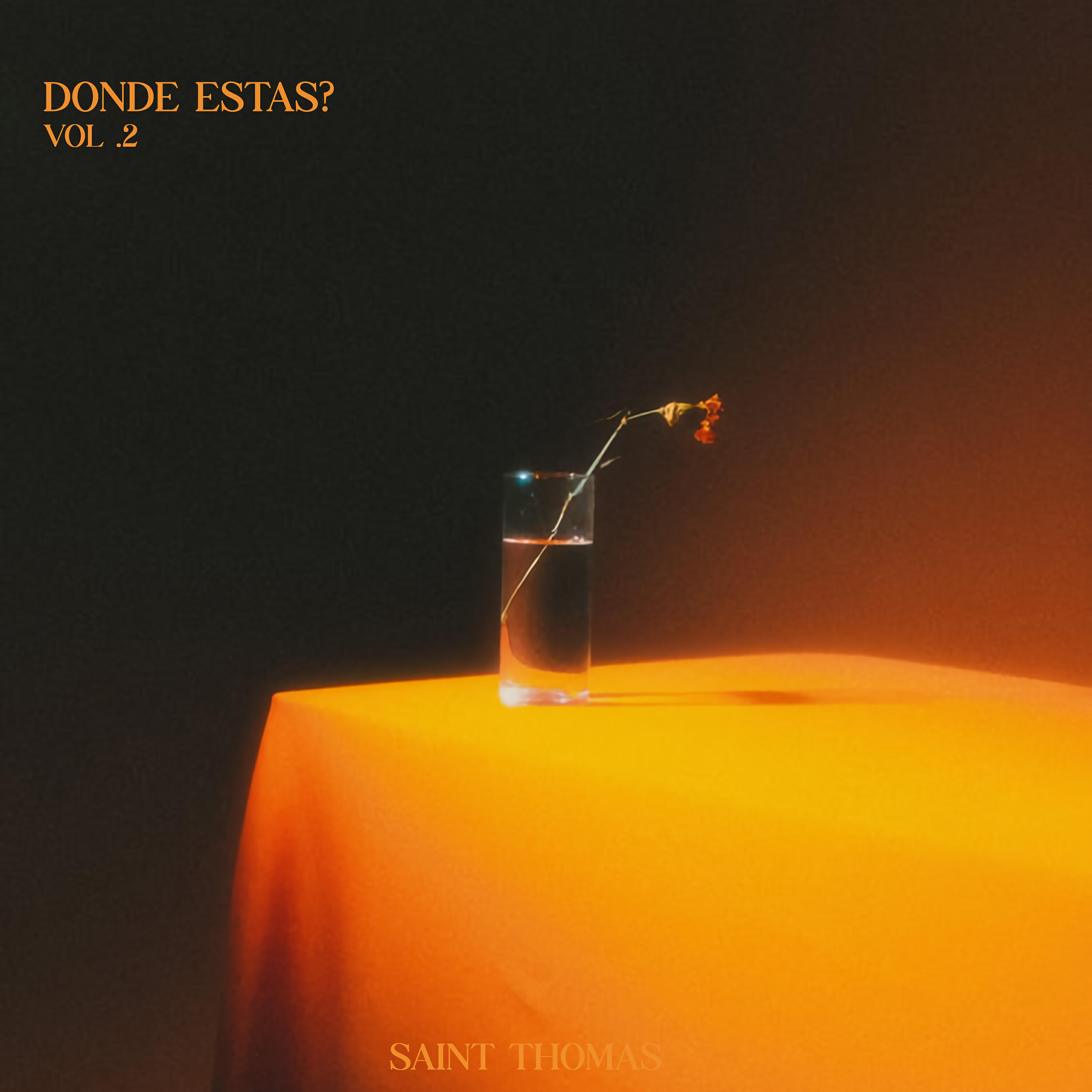 Релиз Donde Estás?, Vol. 2