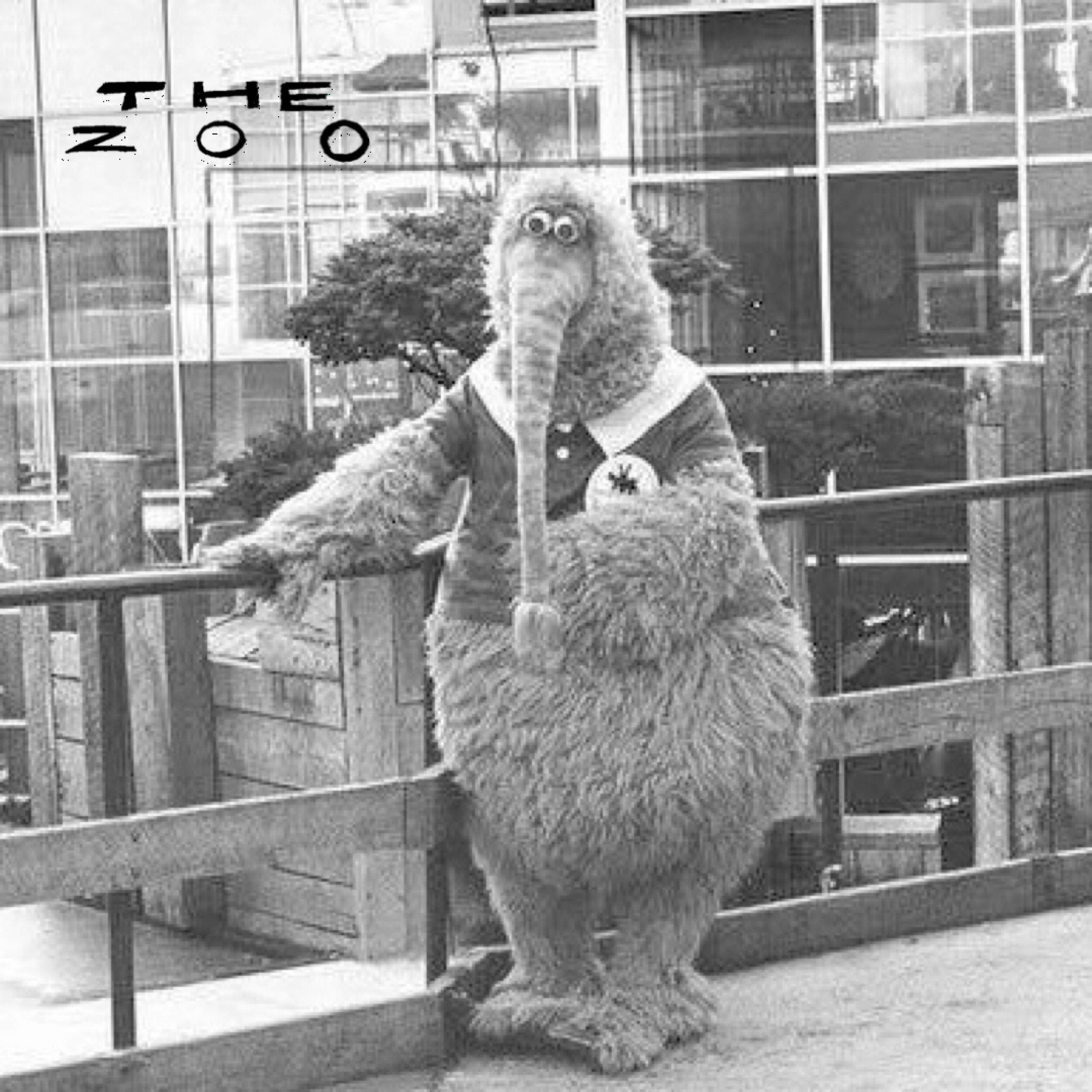 Релиз The Zoo