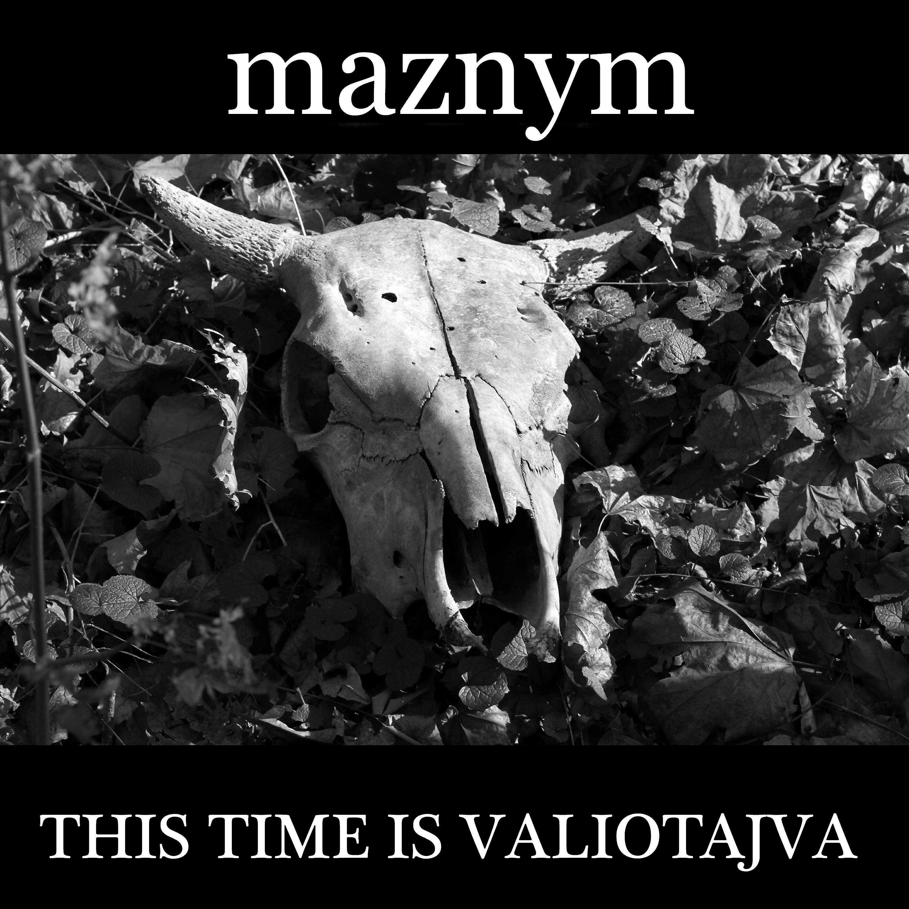 Релиз This Time Is Valiotajava