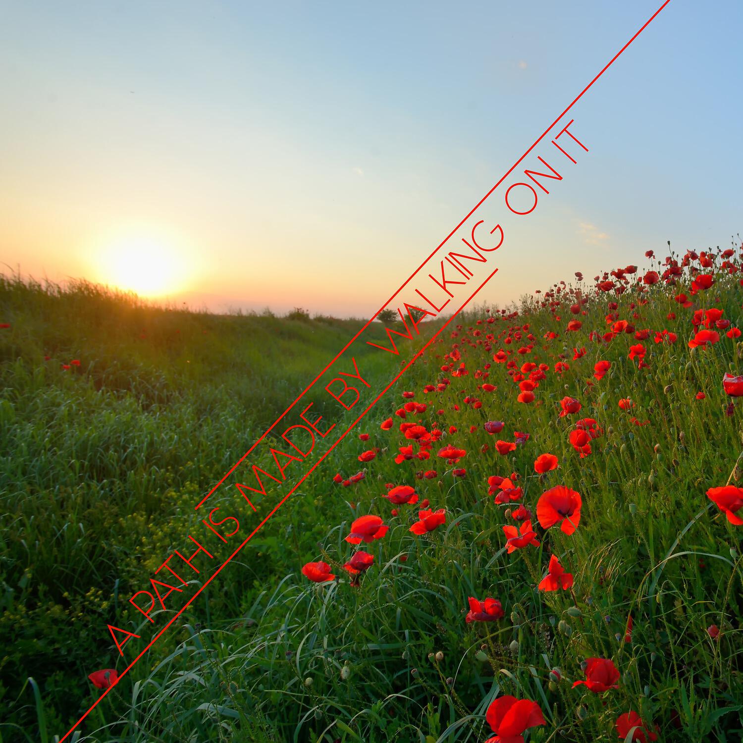 Релиз A Path Is Made By Walking on It