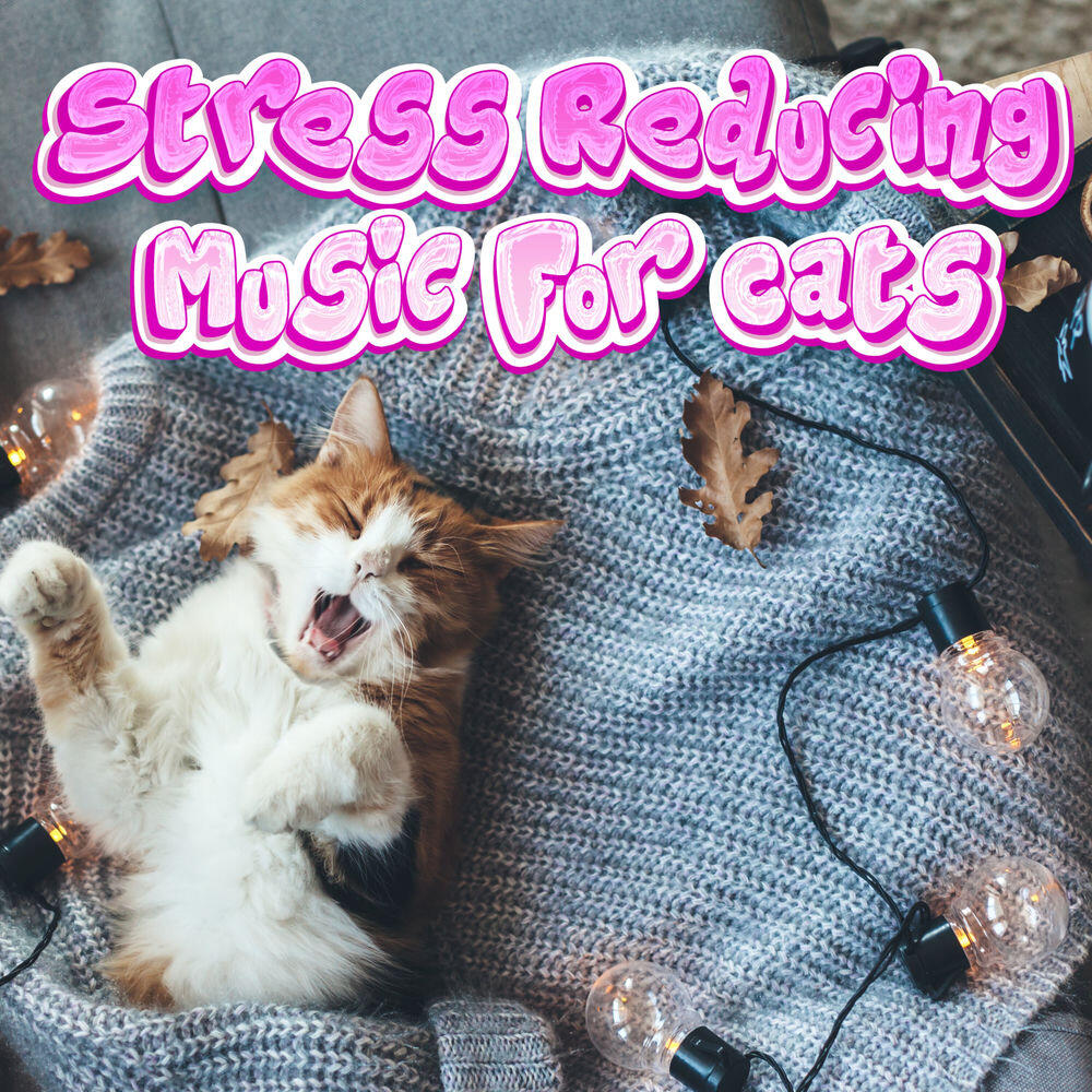 Релиз Calming Music That Reduces Stress For Cats & Kittens
