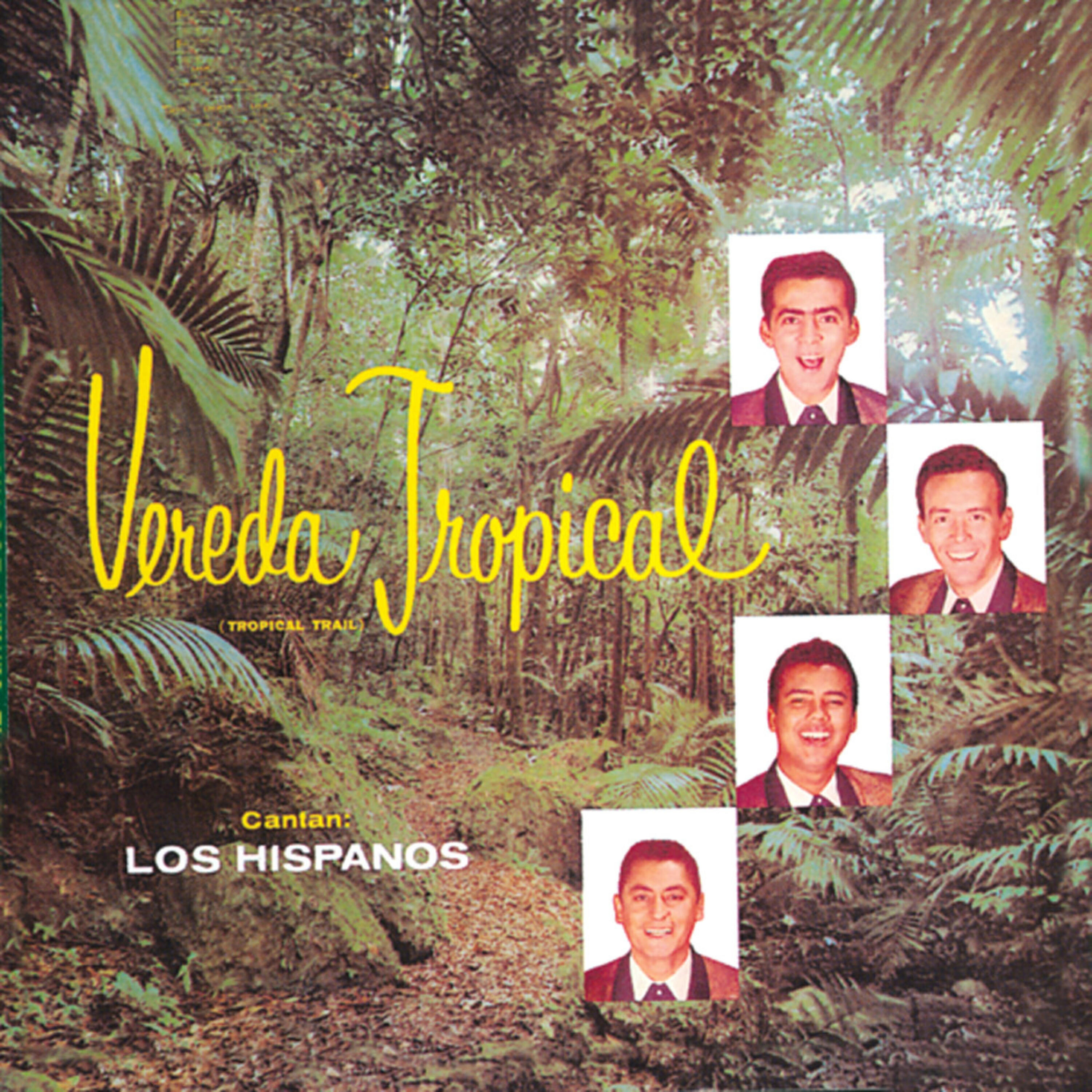 Релиз Vereda Tropical