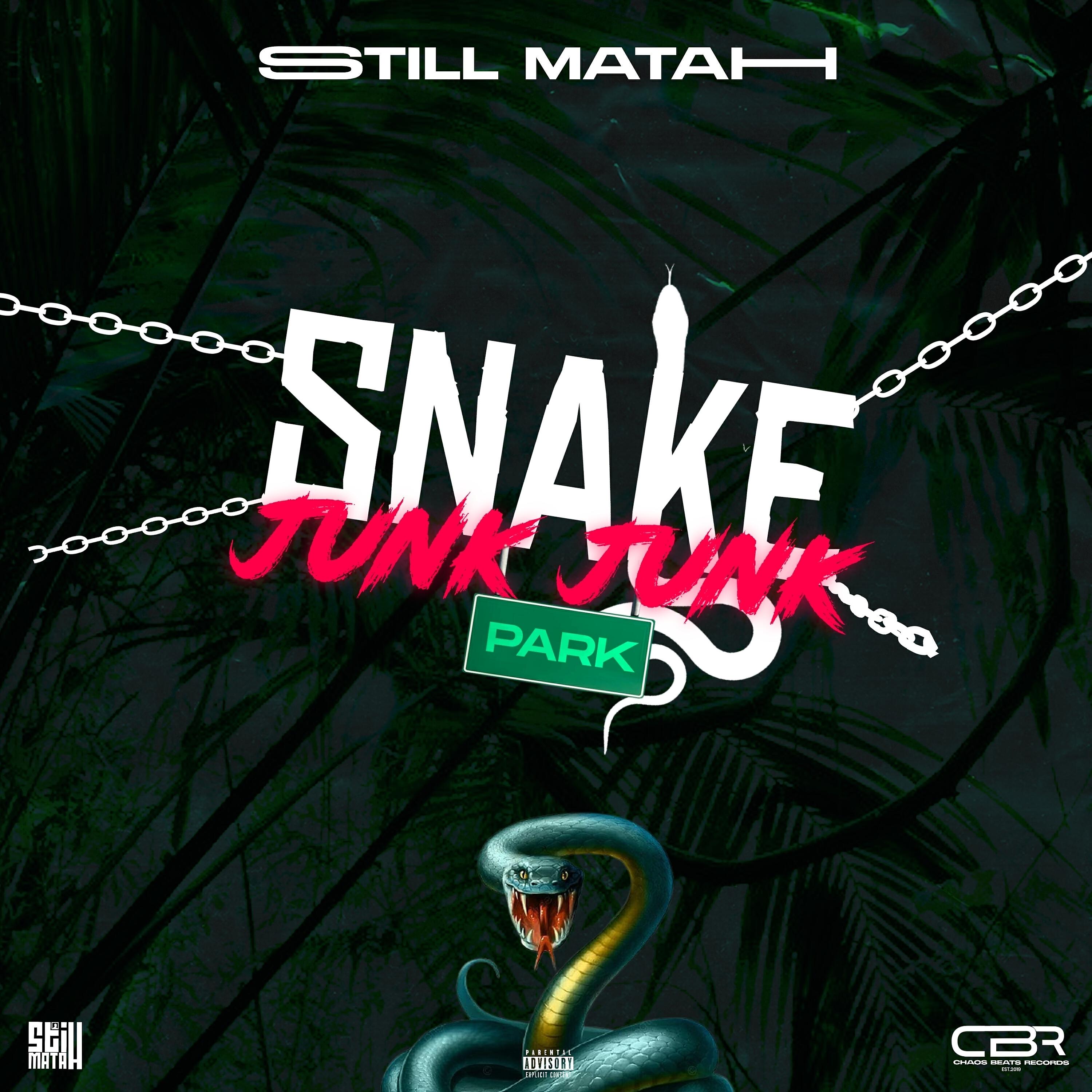 Релиз Snake Junk Junk Park