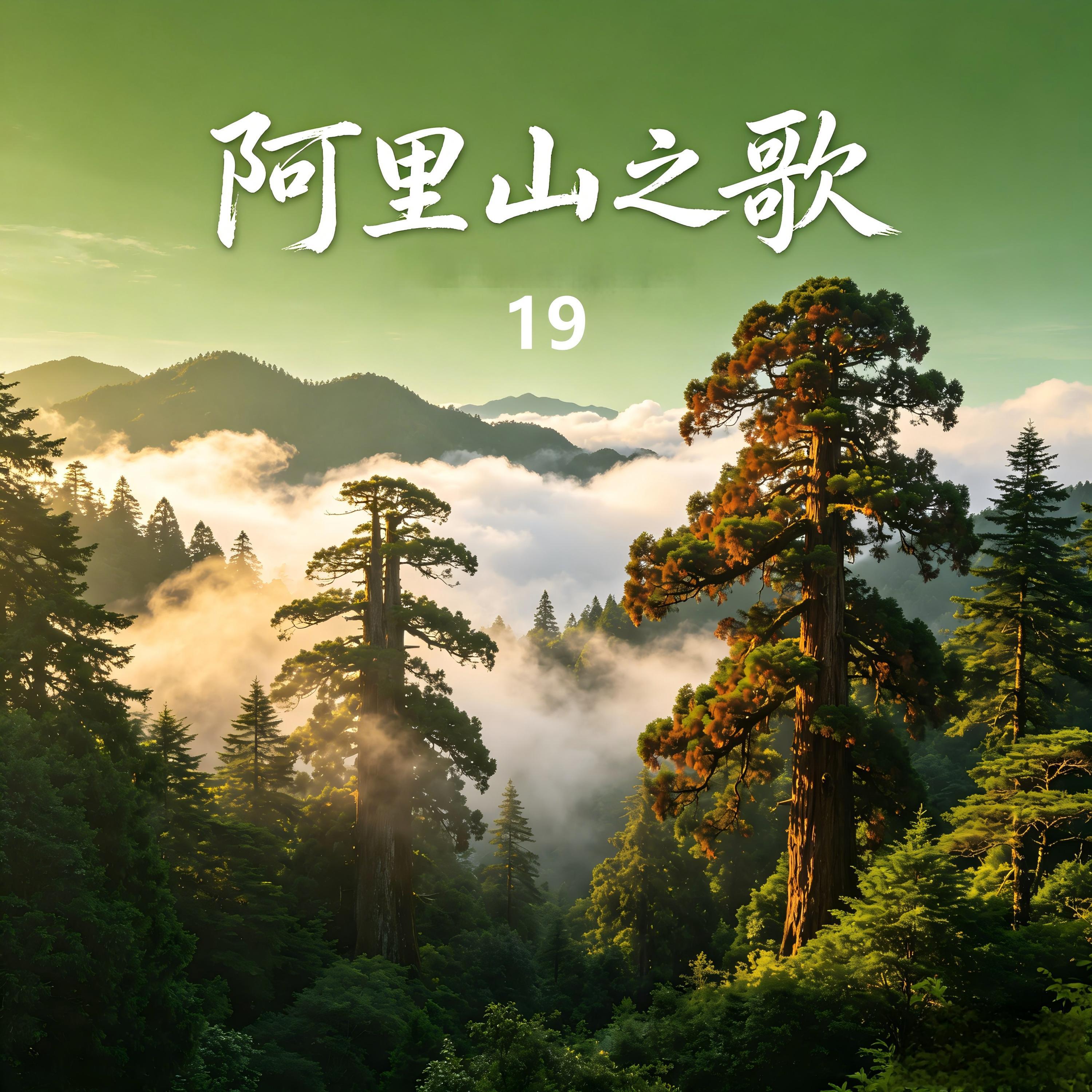 董自爱