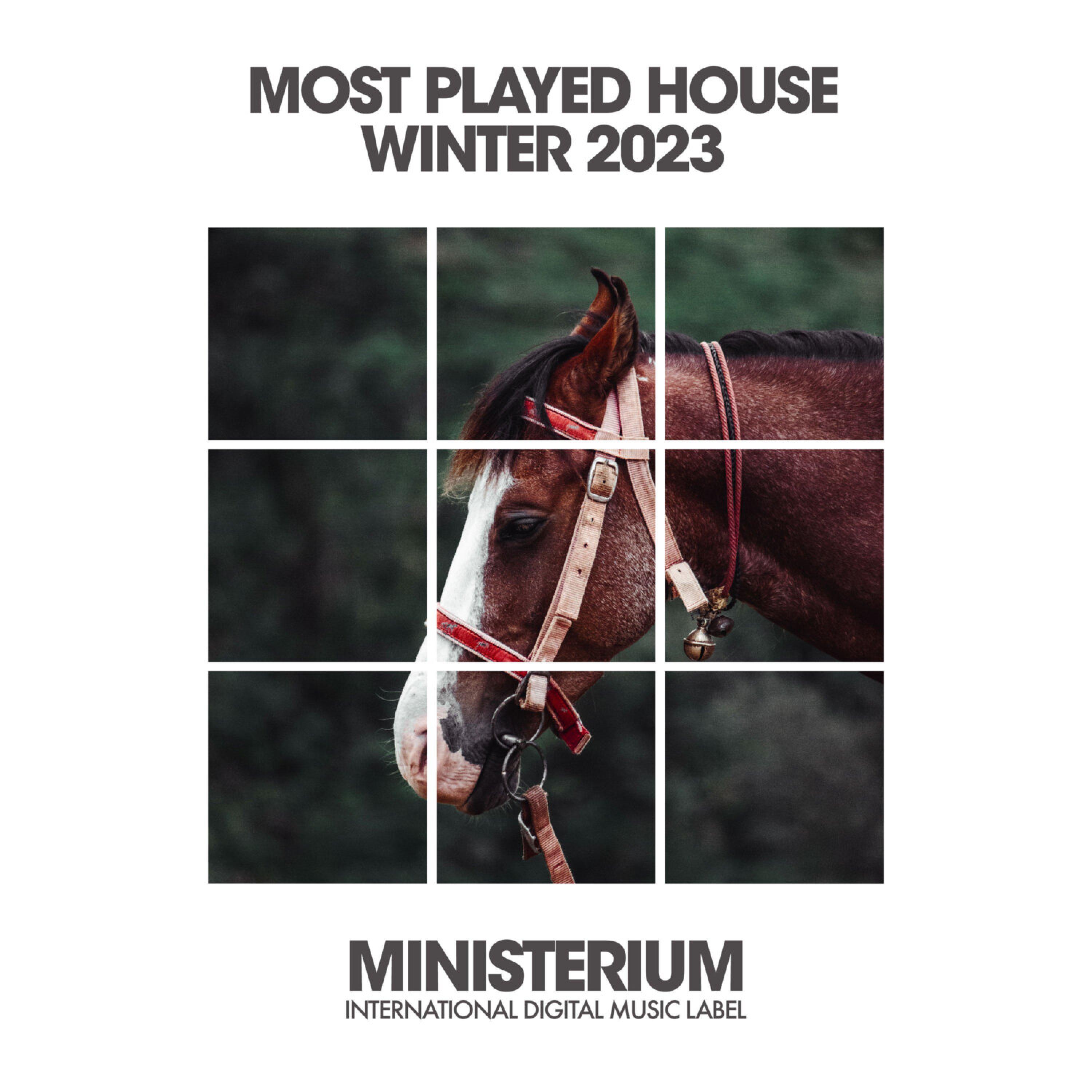 Релиз Most Played House 2023