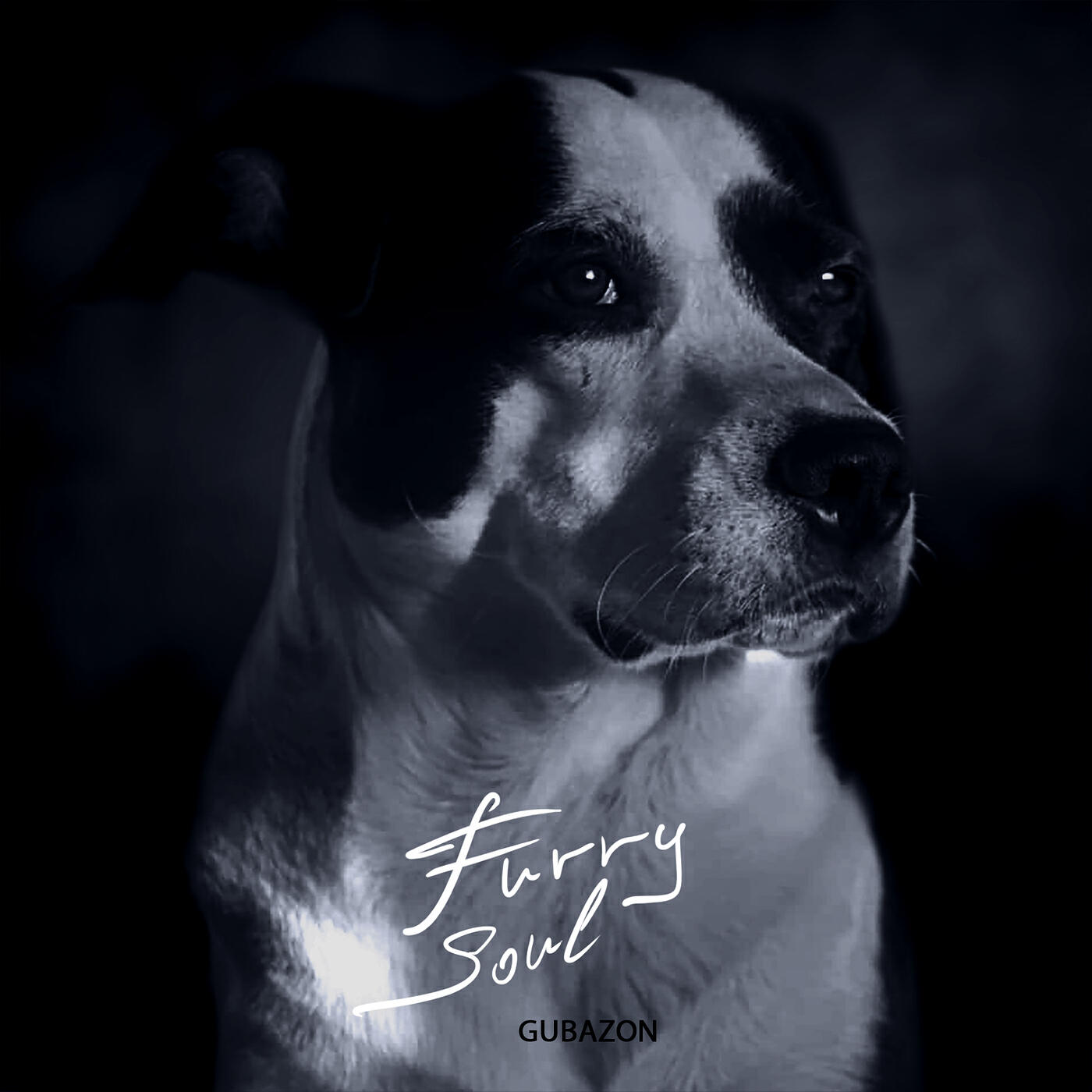 Релиз Furry Soul