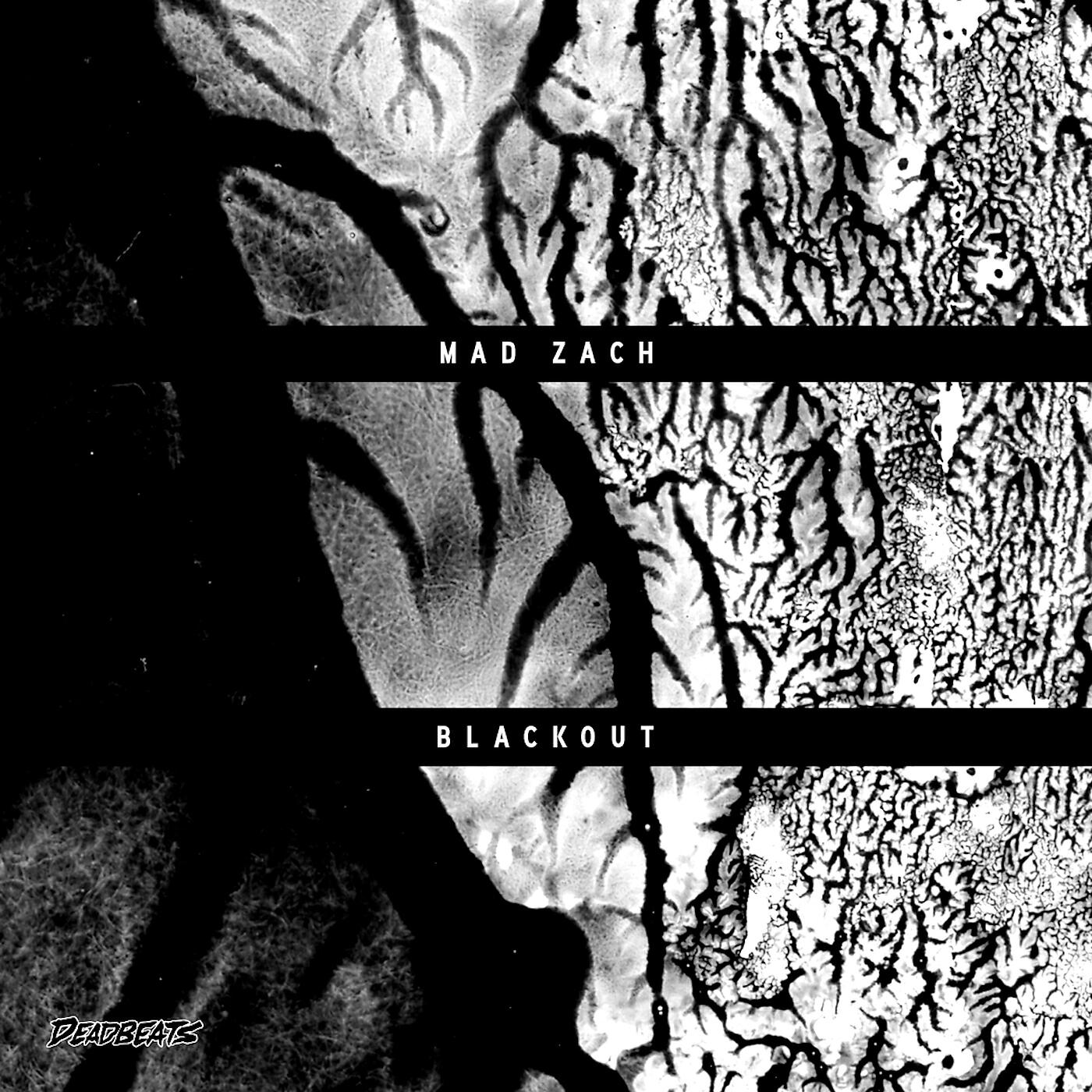 Релиз Blackout