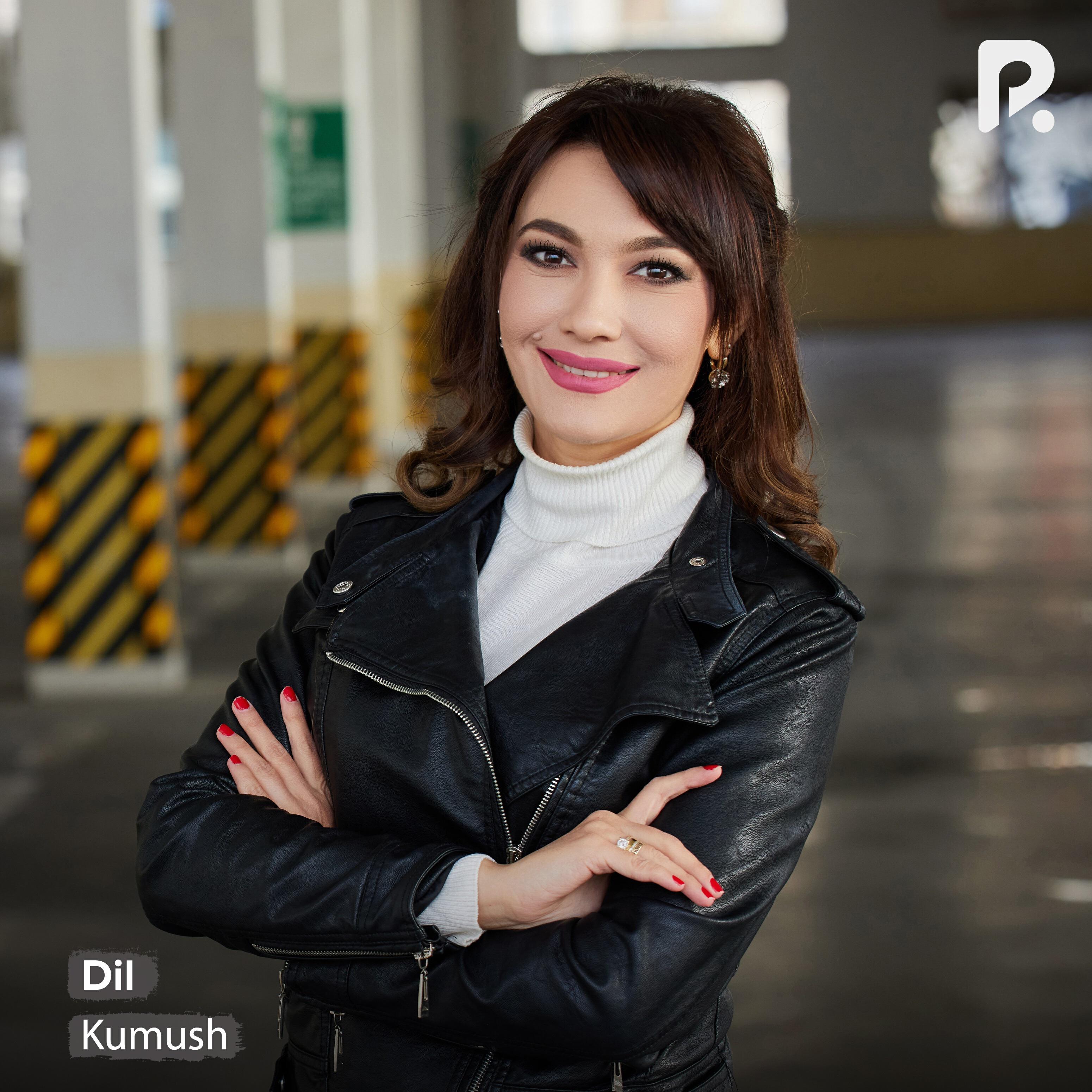 Постер альбома Dil