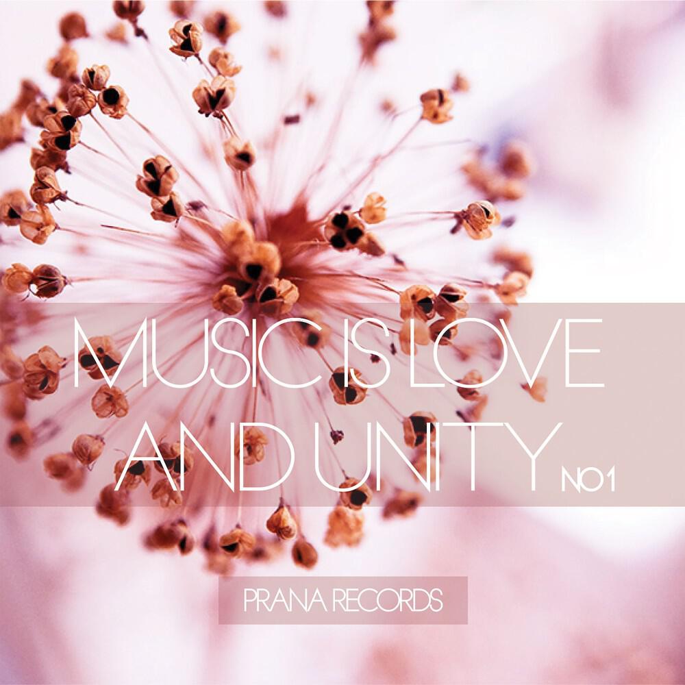 Релиз Music Is Love and Unity