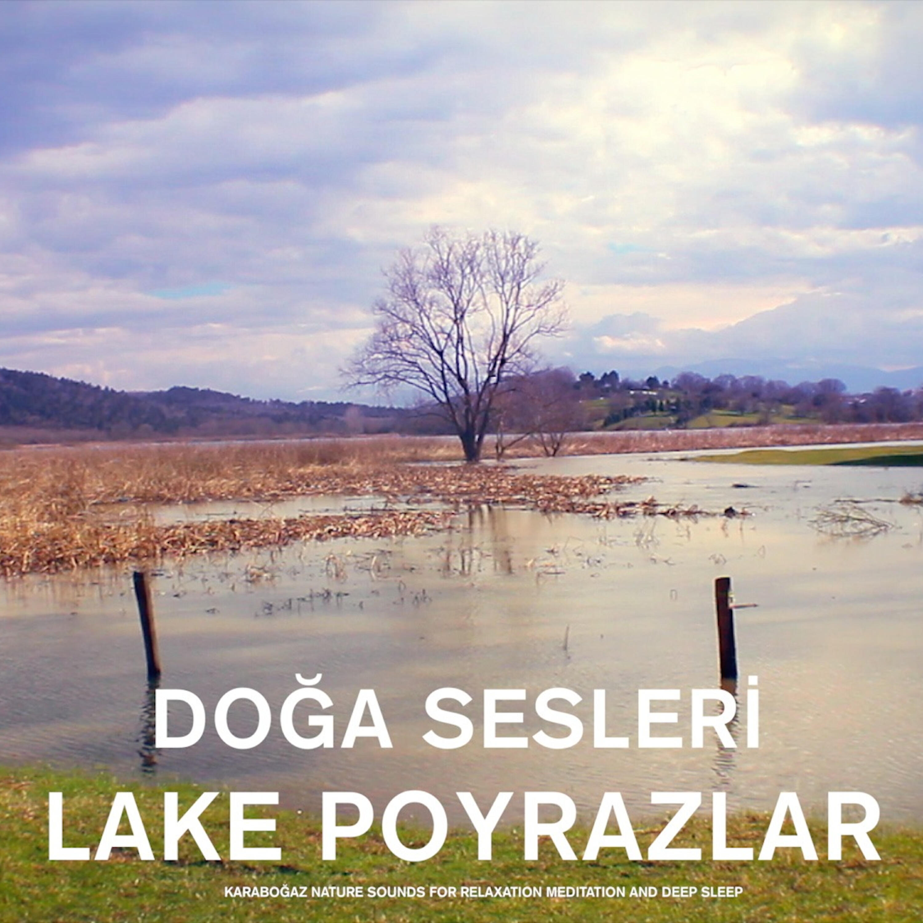Релиз Lake Poyrazlar