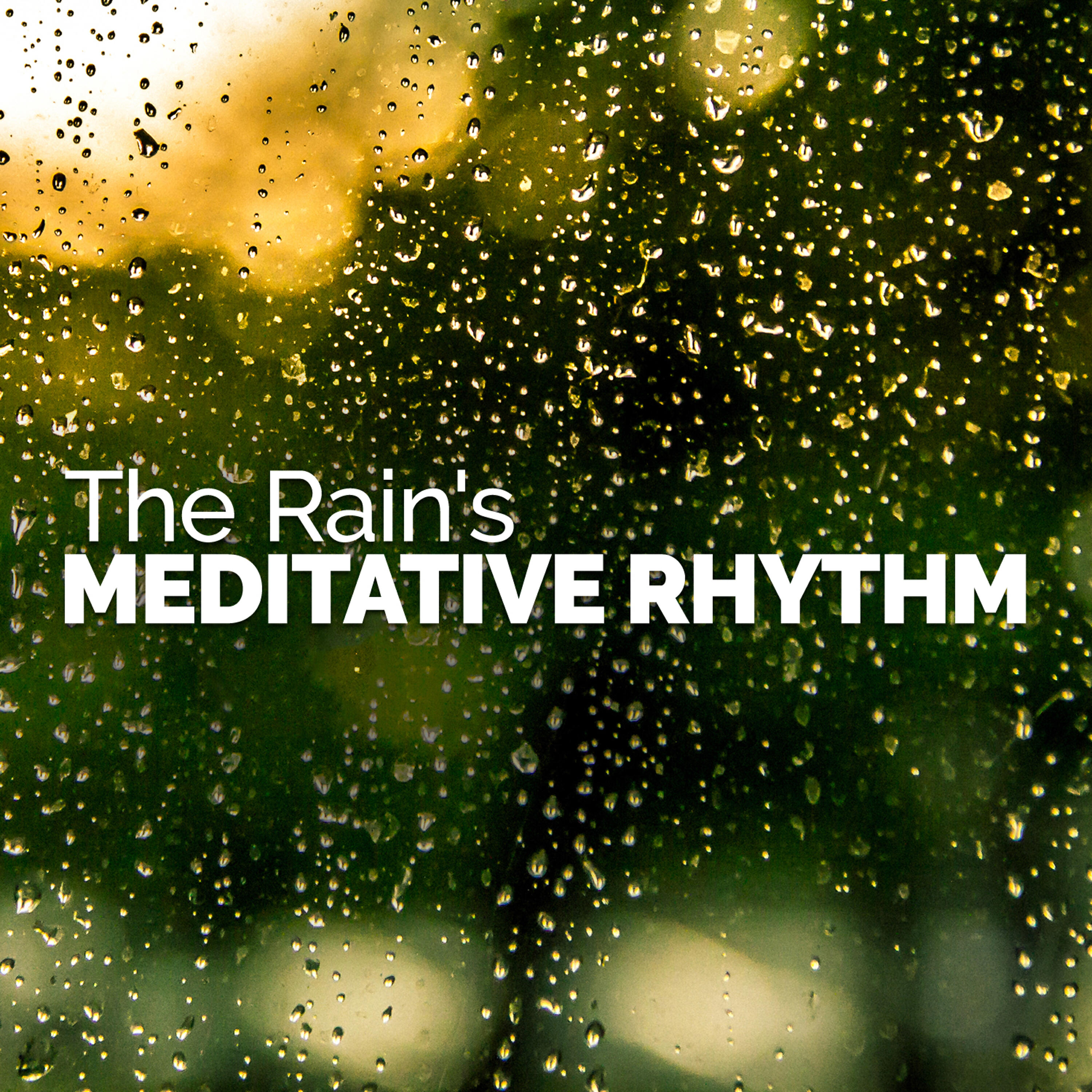 Релиз The Rain's Meditative Rhythm