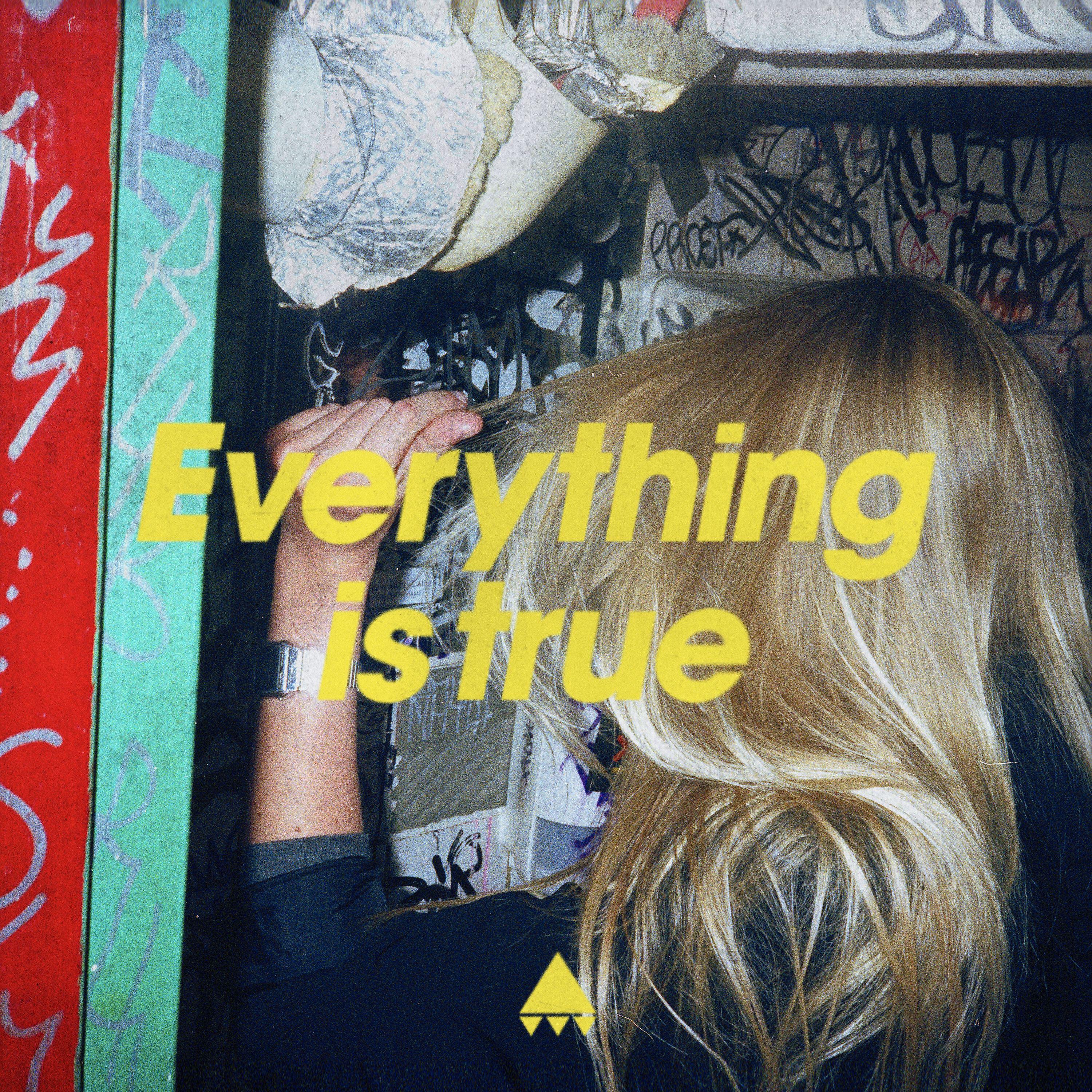 Постер альбома Everything Is True