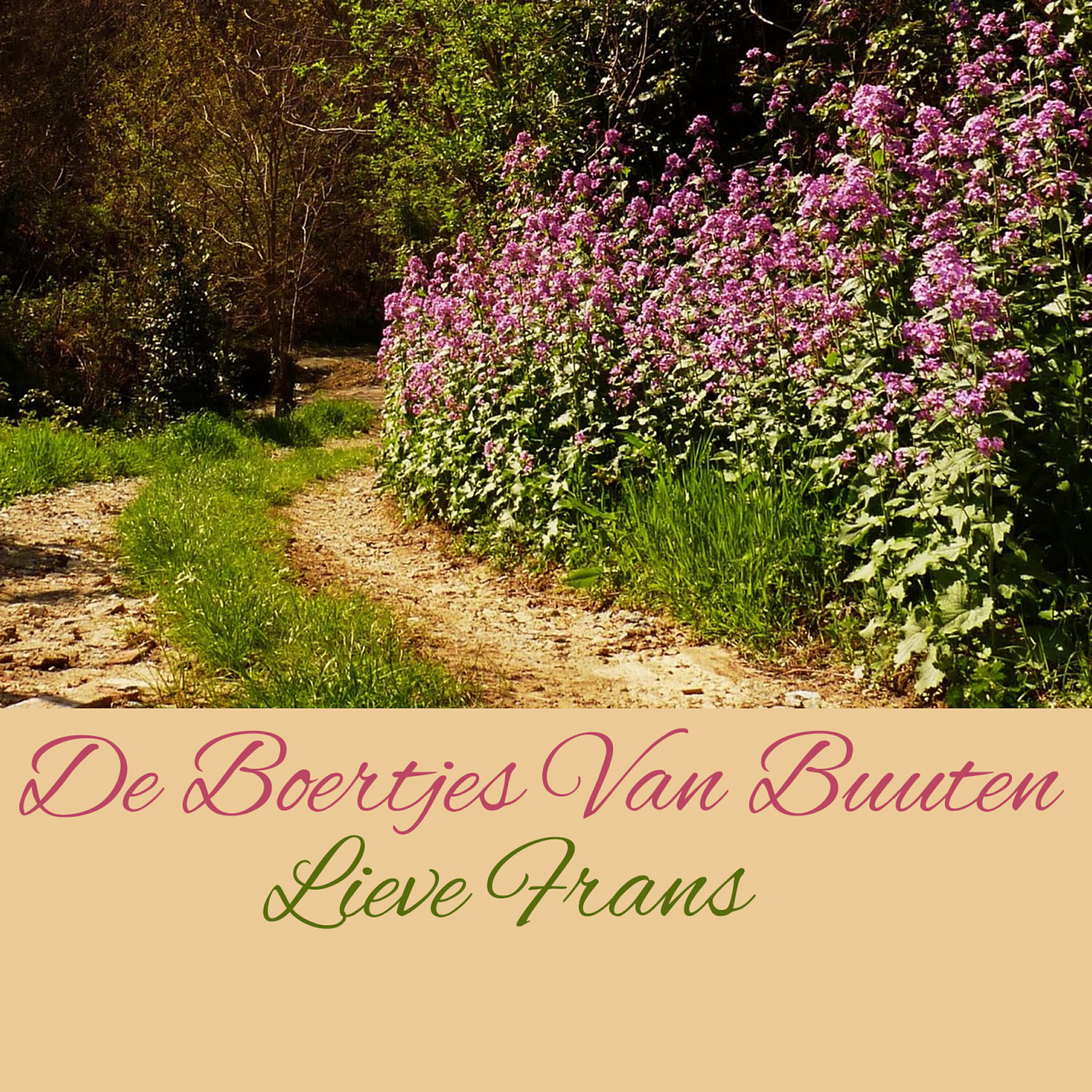 Релиз Lieve Frans