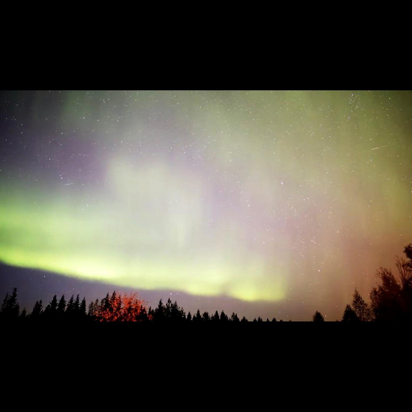 Релиз Visions of the Shimmering Night