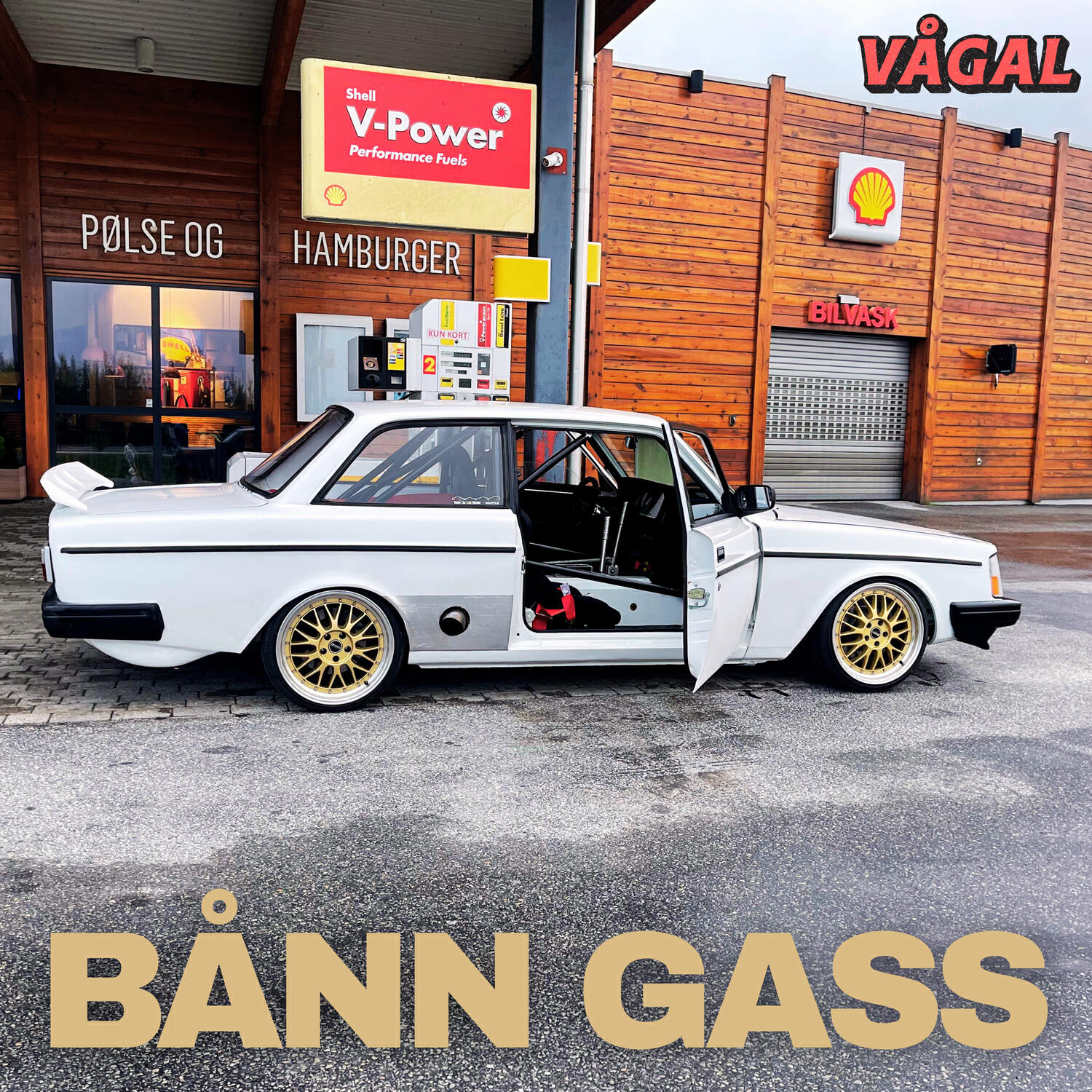 Vågal