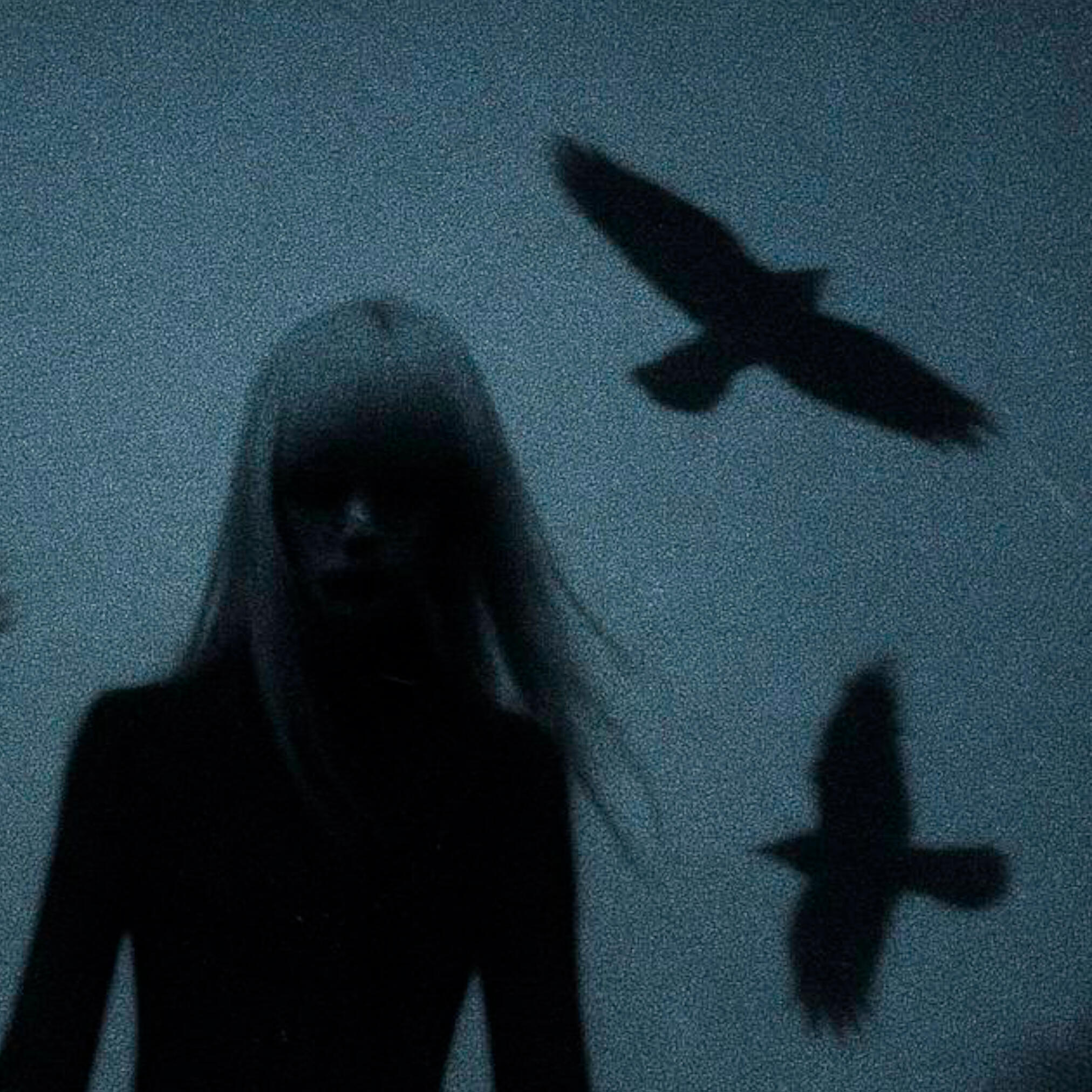 Релиз raven