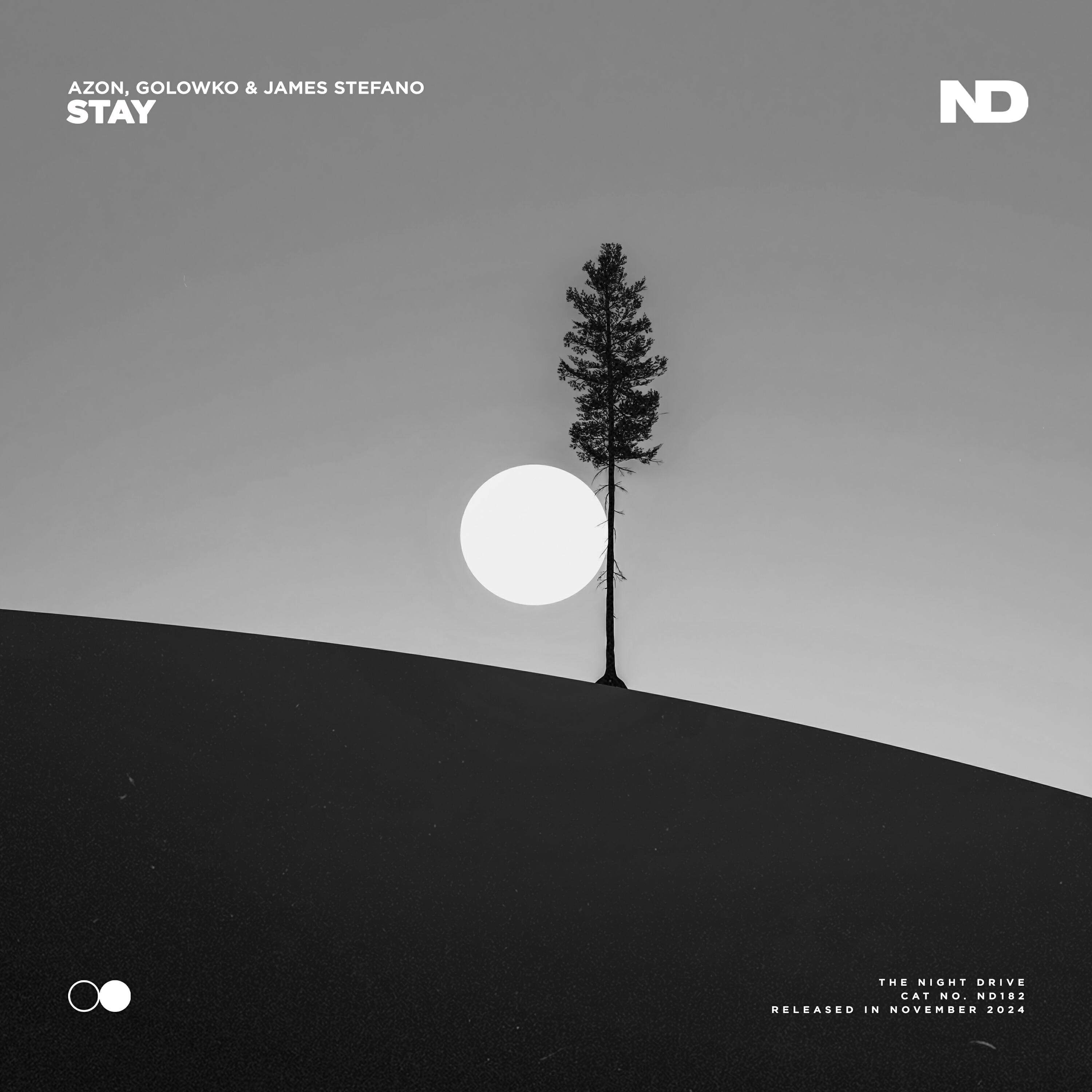 Релиз Stay