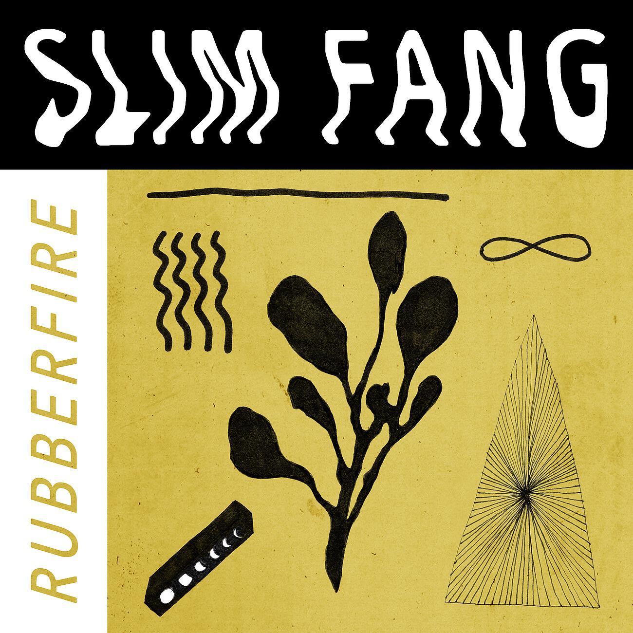 Slim Fang