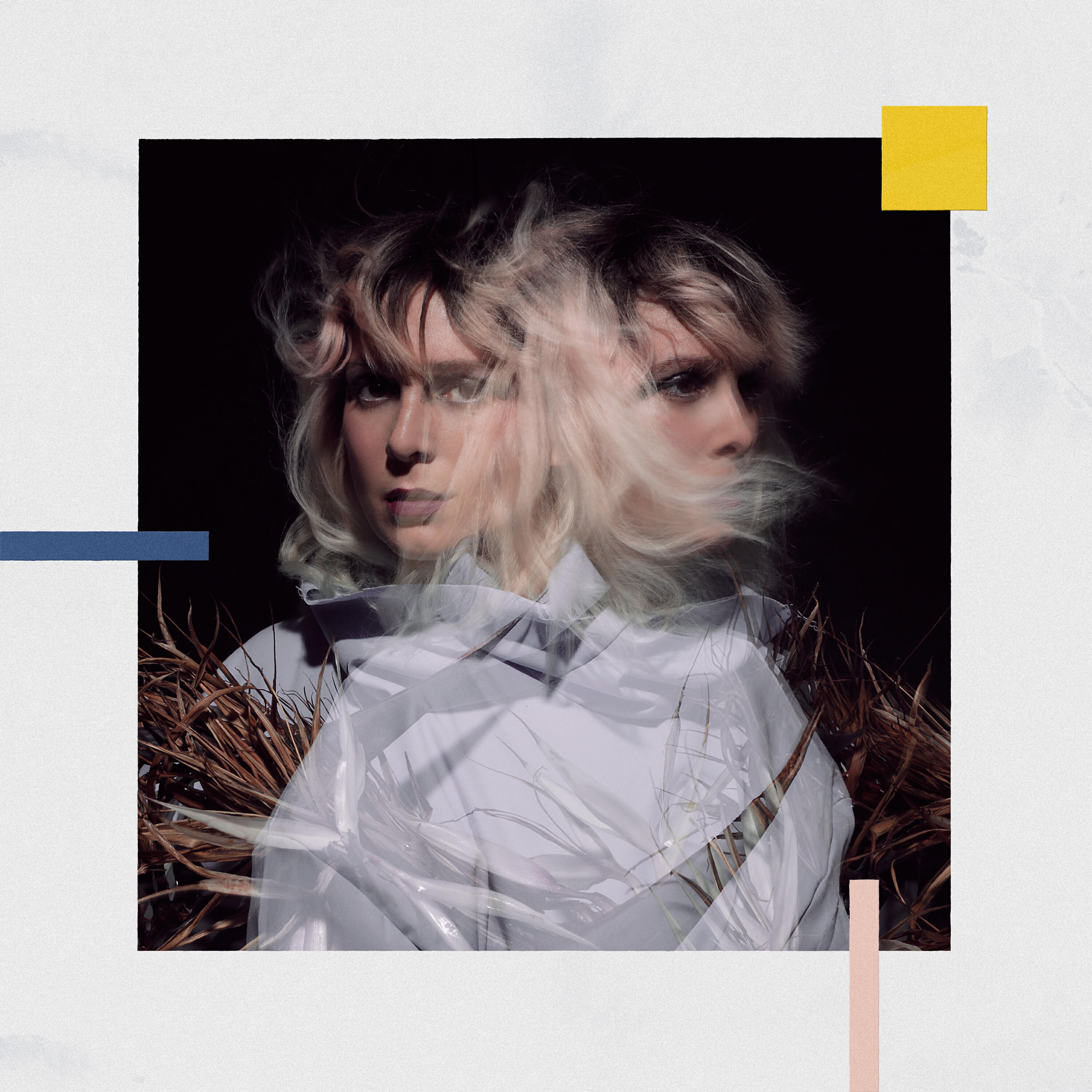 Релиз Bird Of Paradise: The Panoply Remixes