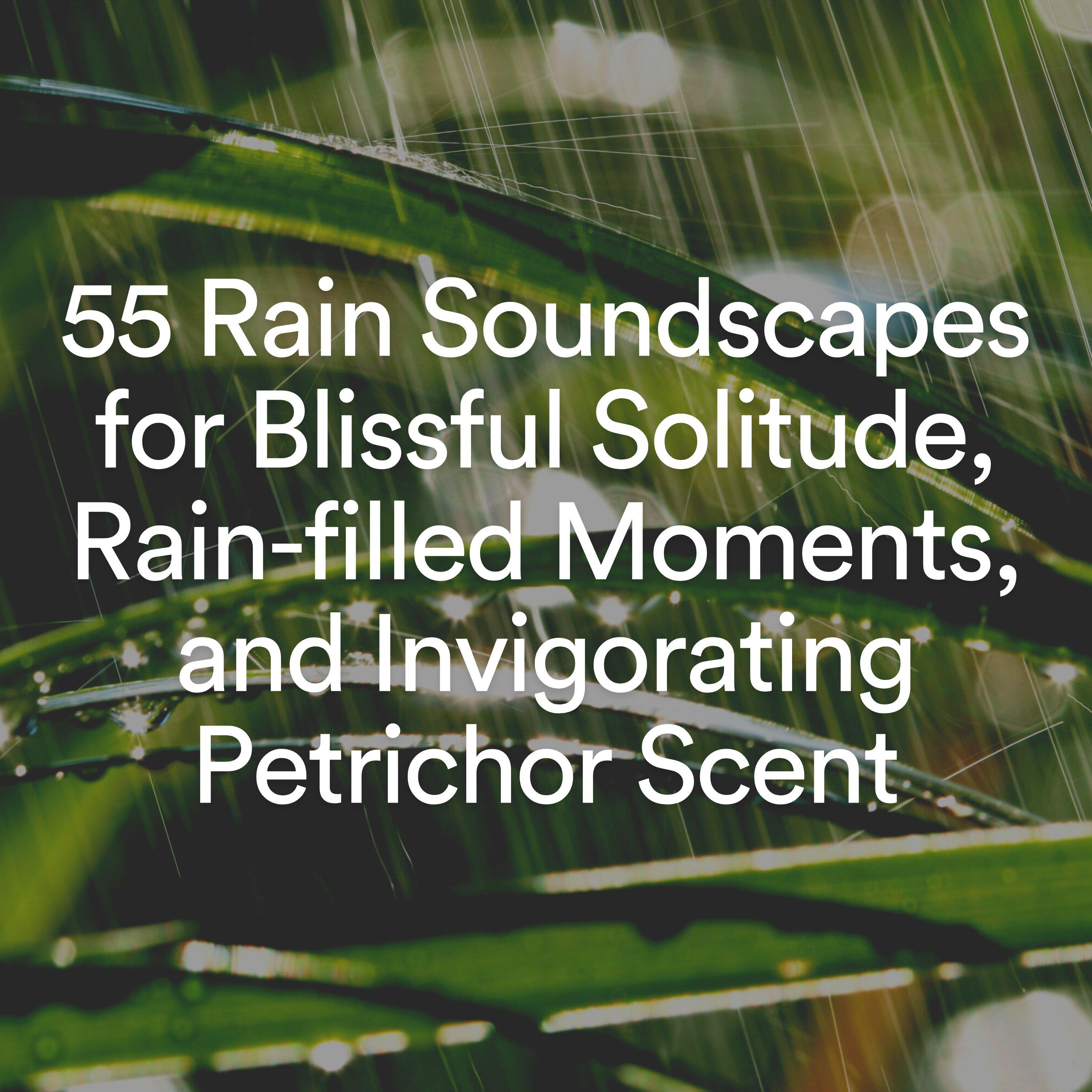 Релиз 55 Rain Soundscapes for Blissful Solitude, Rain-filled Moments, and Invigorating Petrichor Scent
