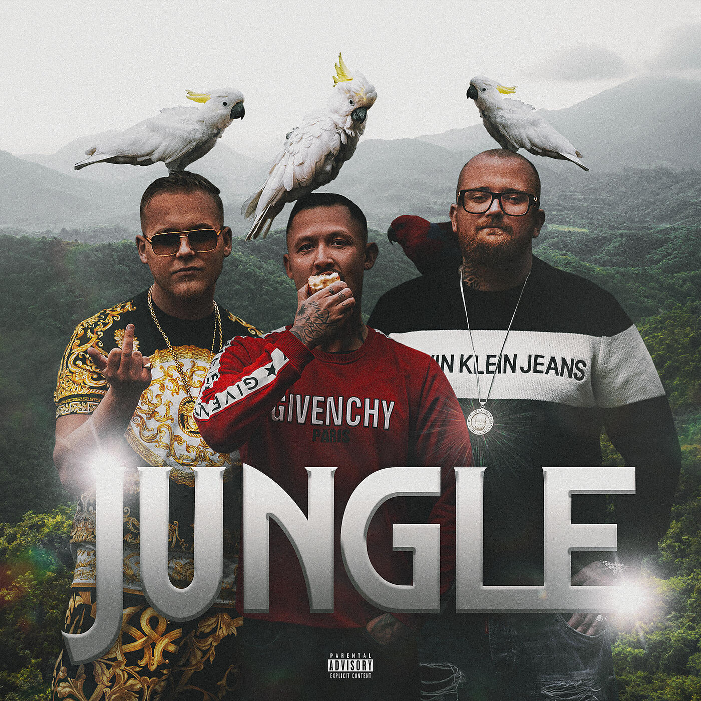 Релиз Jungle