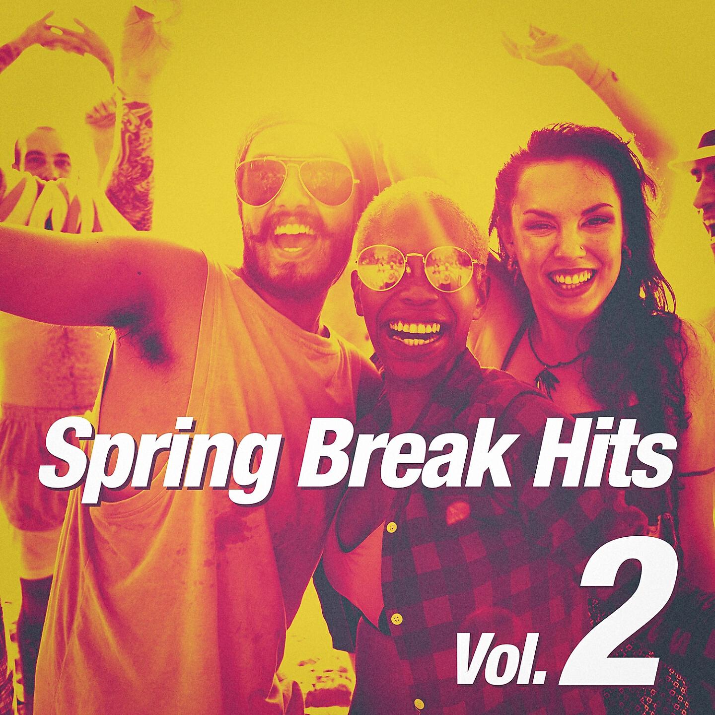 Релиз Spring Break Hits, Vol. 2
