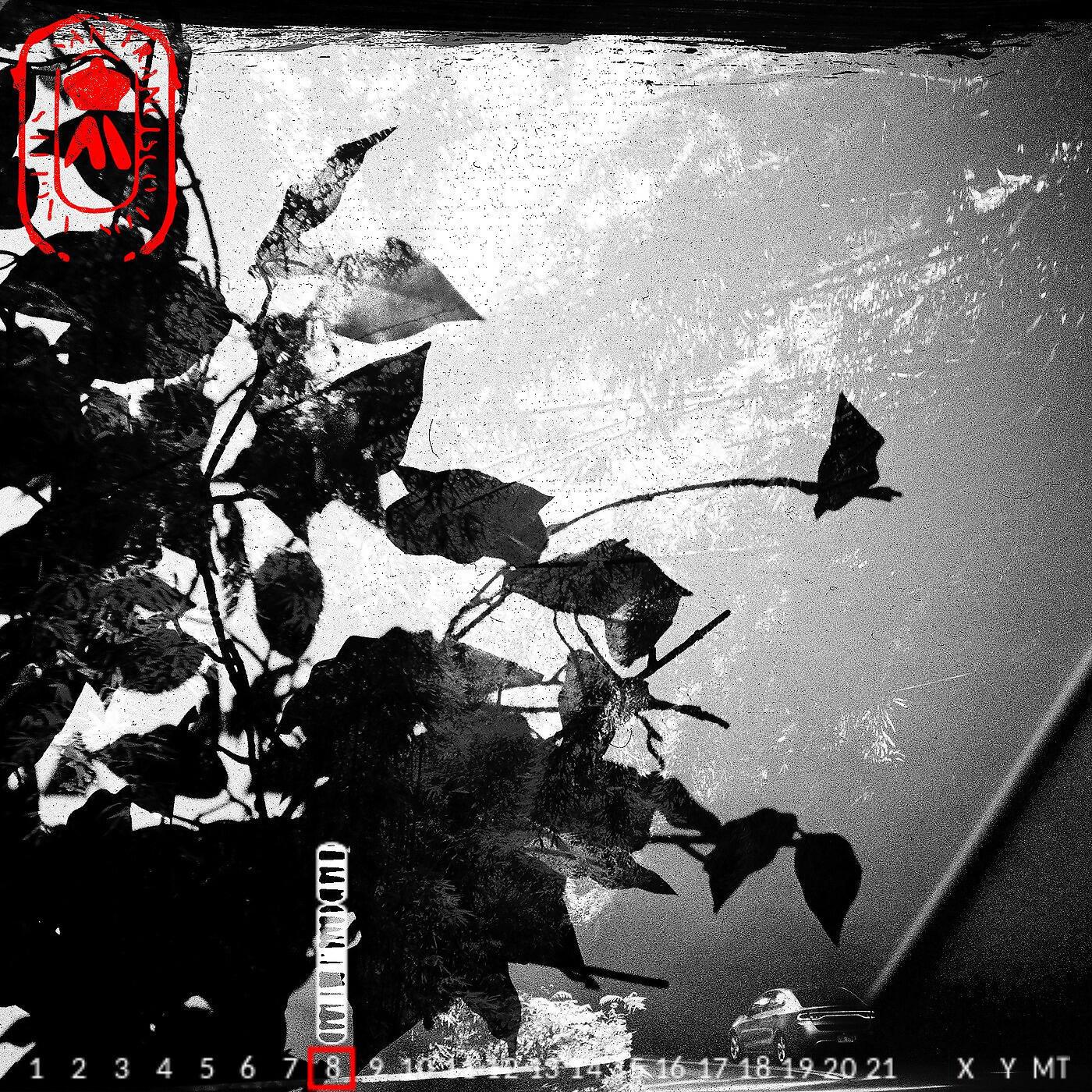 Релиз Grey Matter