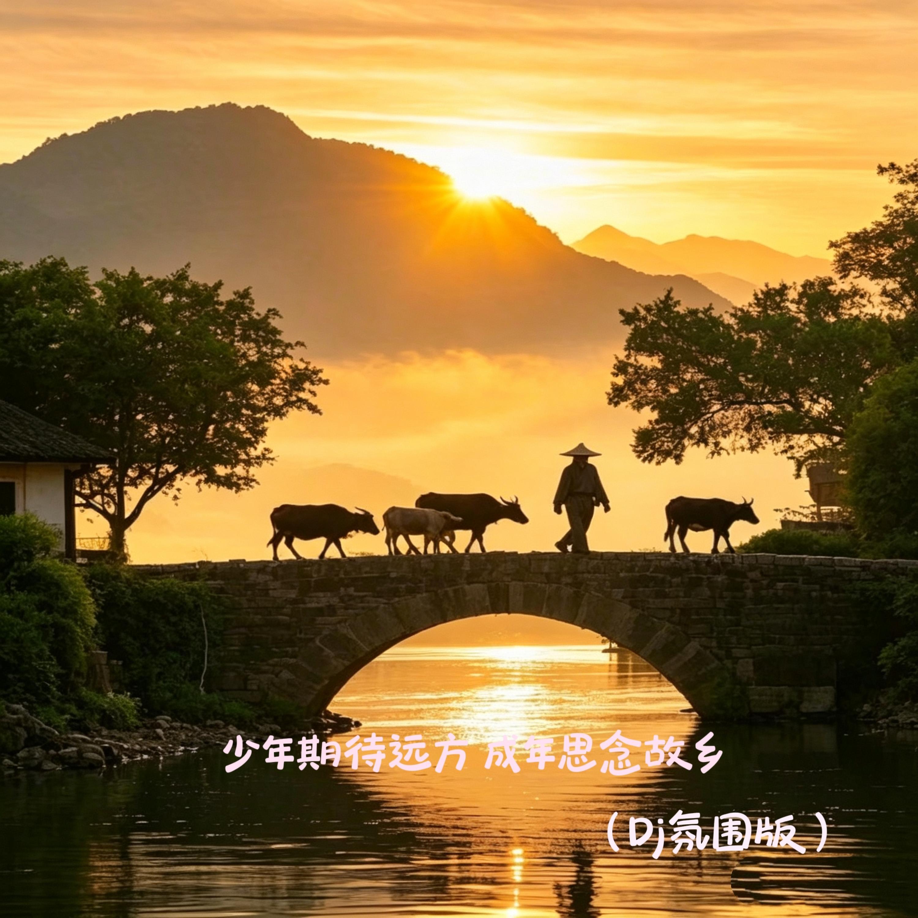 Релиз 少年期待远方 成年思念故乡