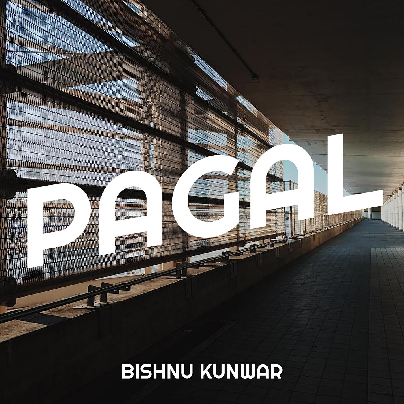 Релиз Pagal