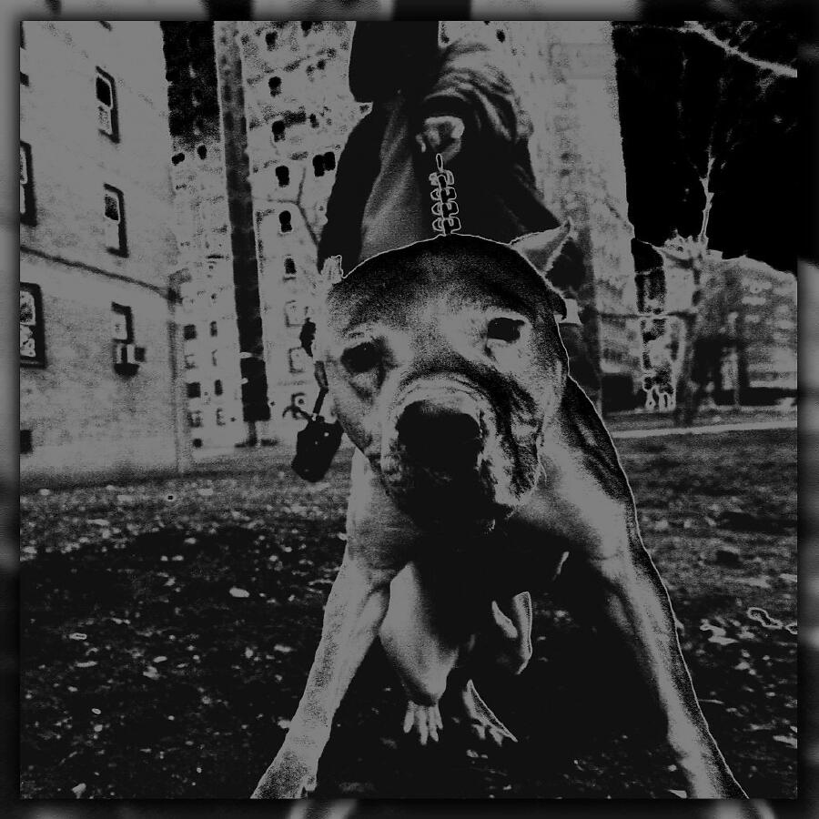 Волна по релизу