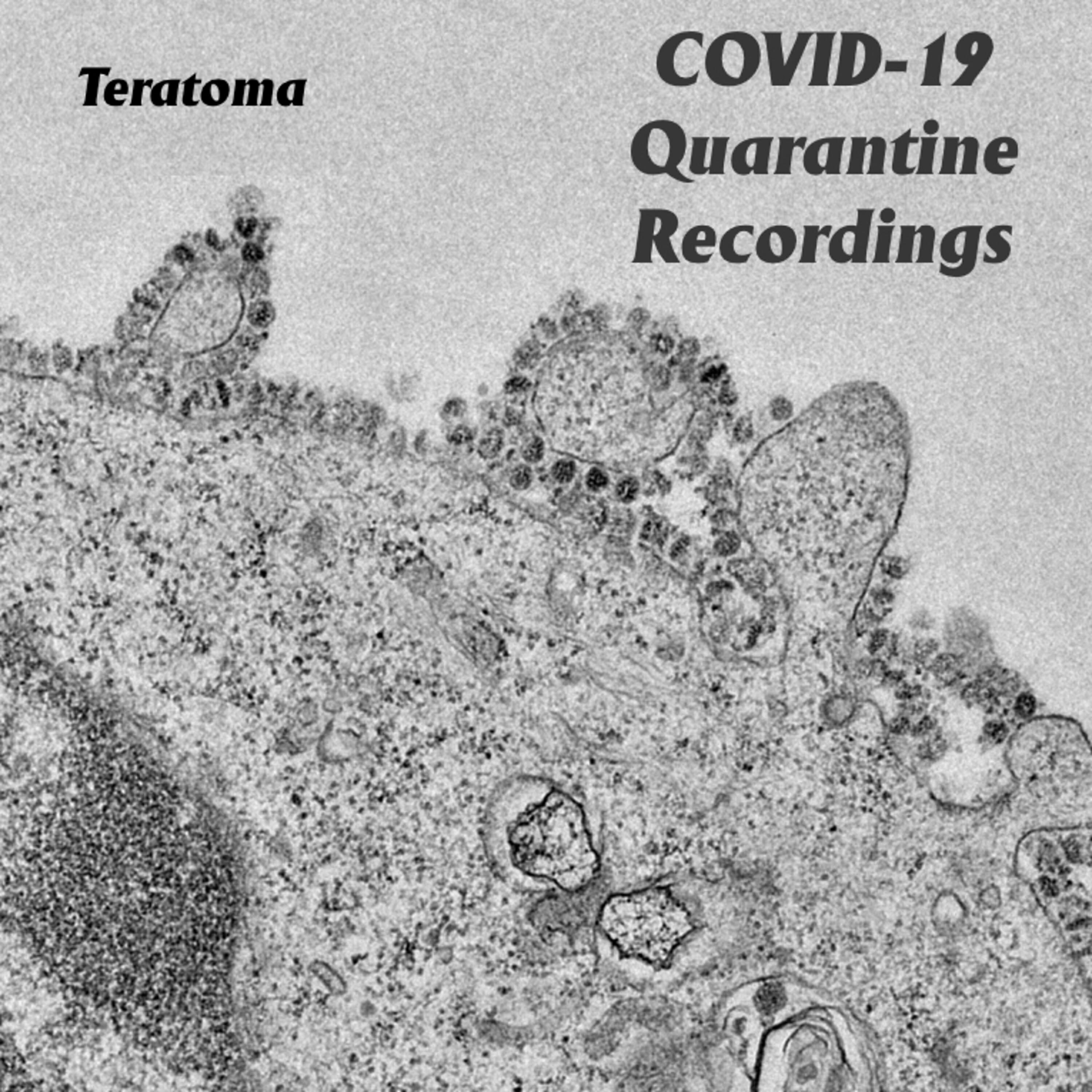 Релиз Covid-19 Quarantine Recordings