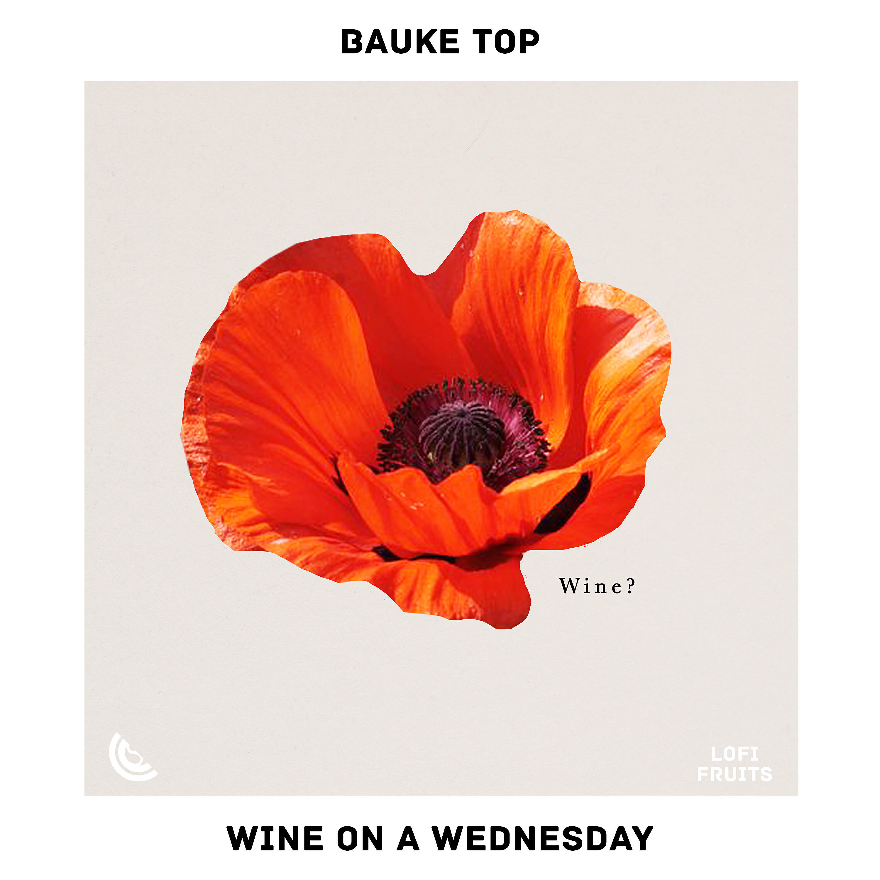 Bauke Top